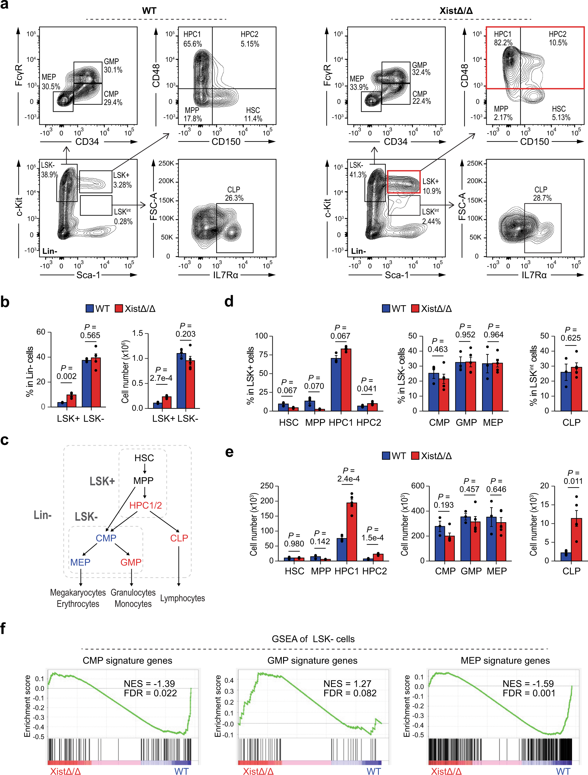 Pedagogie Het Betreffende Xist exerts gene-specific silencing during XCI maintenance and impacts  lineage-specific cell differentiation and proliferation during  hematopoiesis | Nature Communications