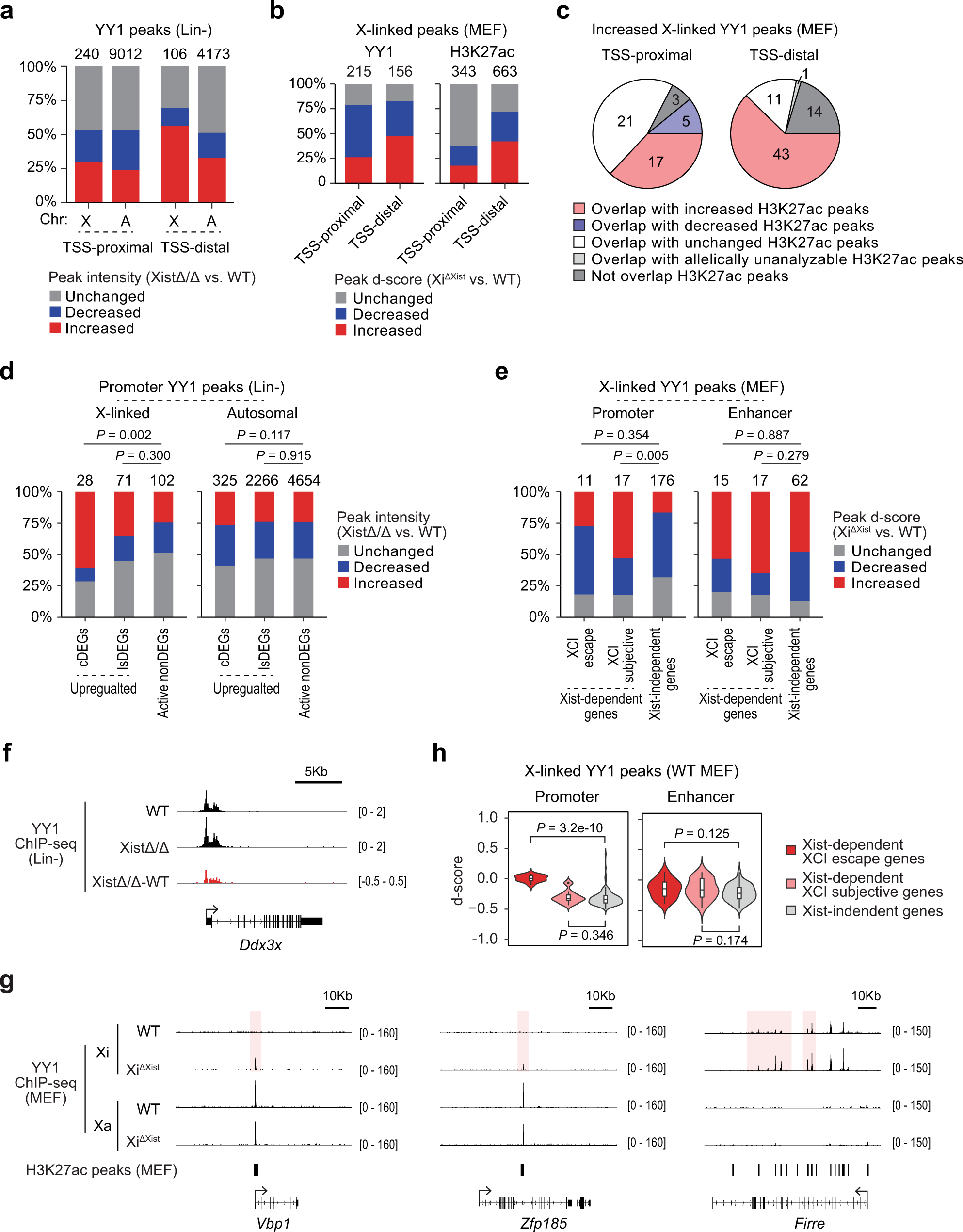 Fig. 6: Xist deletion leads to increase in YY1 binding at the cis-regulatory elements on the Xi.
