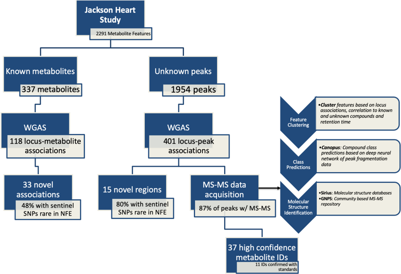 Whole Genome Association Study of the Plasma Metabolome Identifies  Metabolites Linked to Cardiometabolic Disease in Black Individuals | Nature  Communications