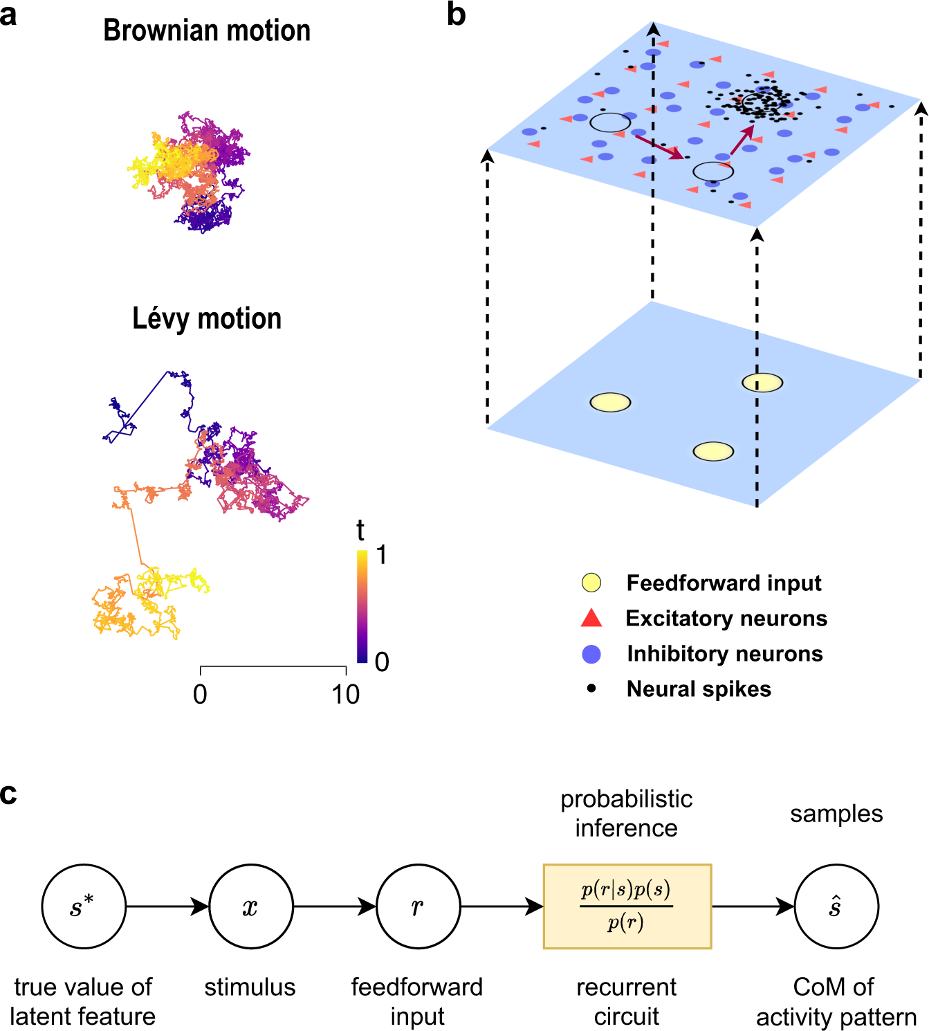 Fractional sampling as a theory of spatiotemporal probabilistic computations in neural circuits | Nature Communications