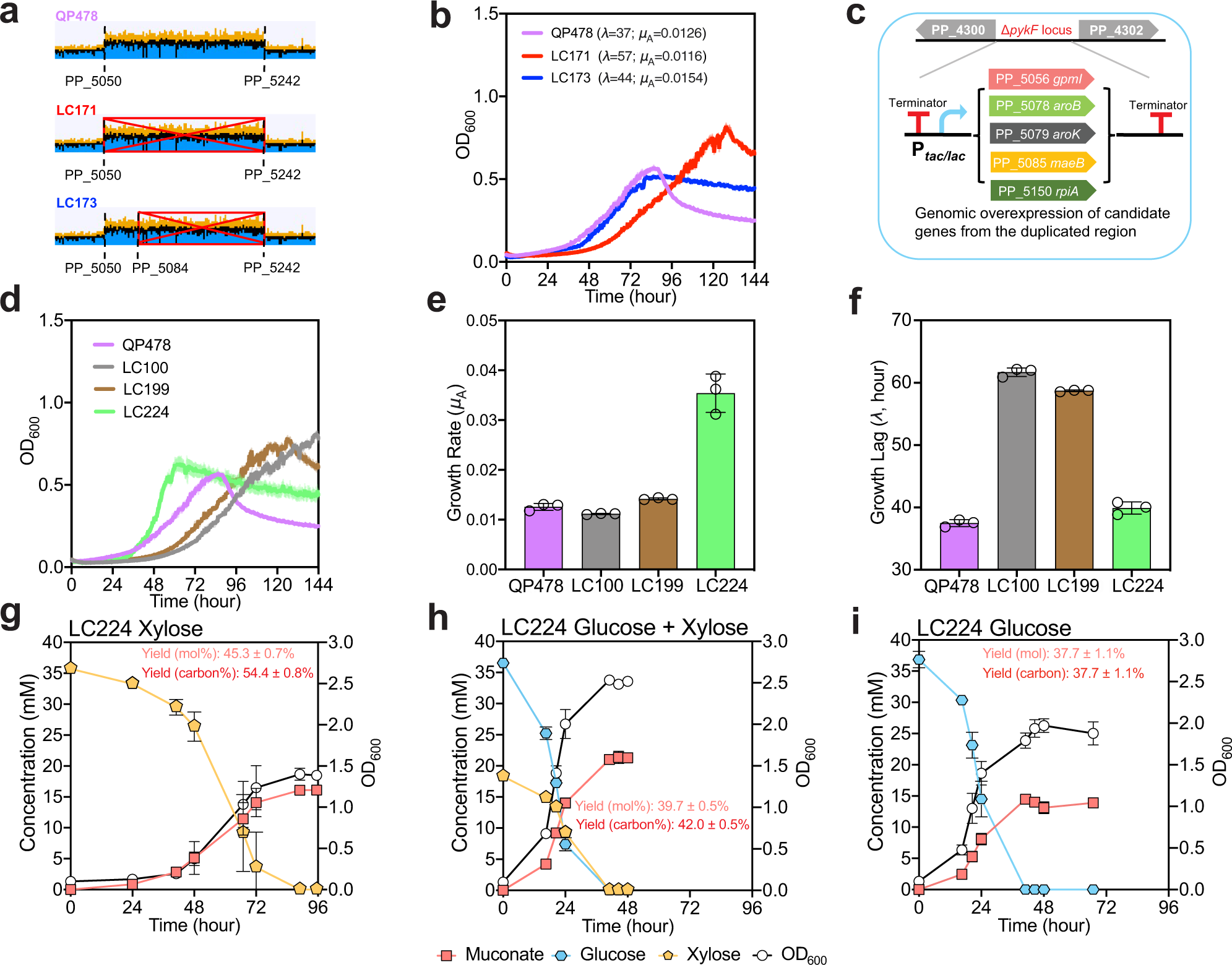 Fig. 4: Characterization of rationally engineered strains overexpressing genes from the duplicated region.