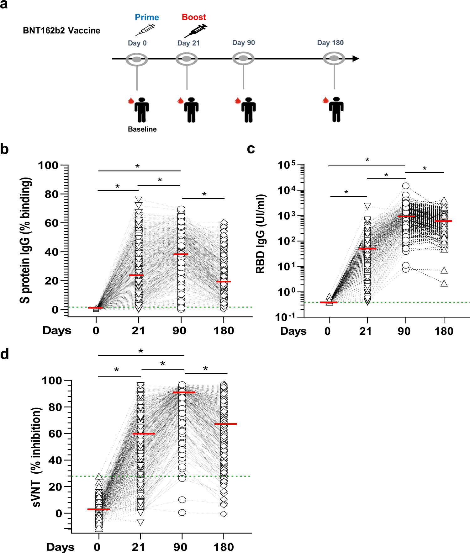 Delayed booster dosing improves human antigen-specific Ig and B