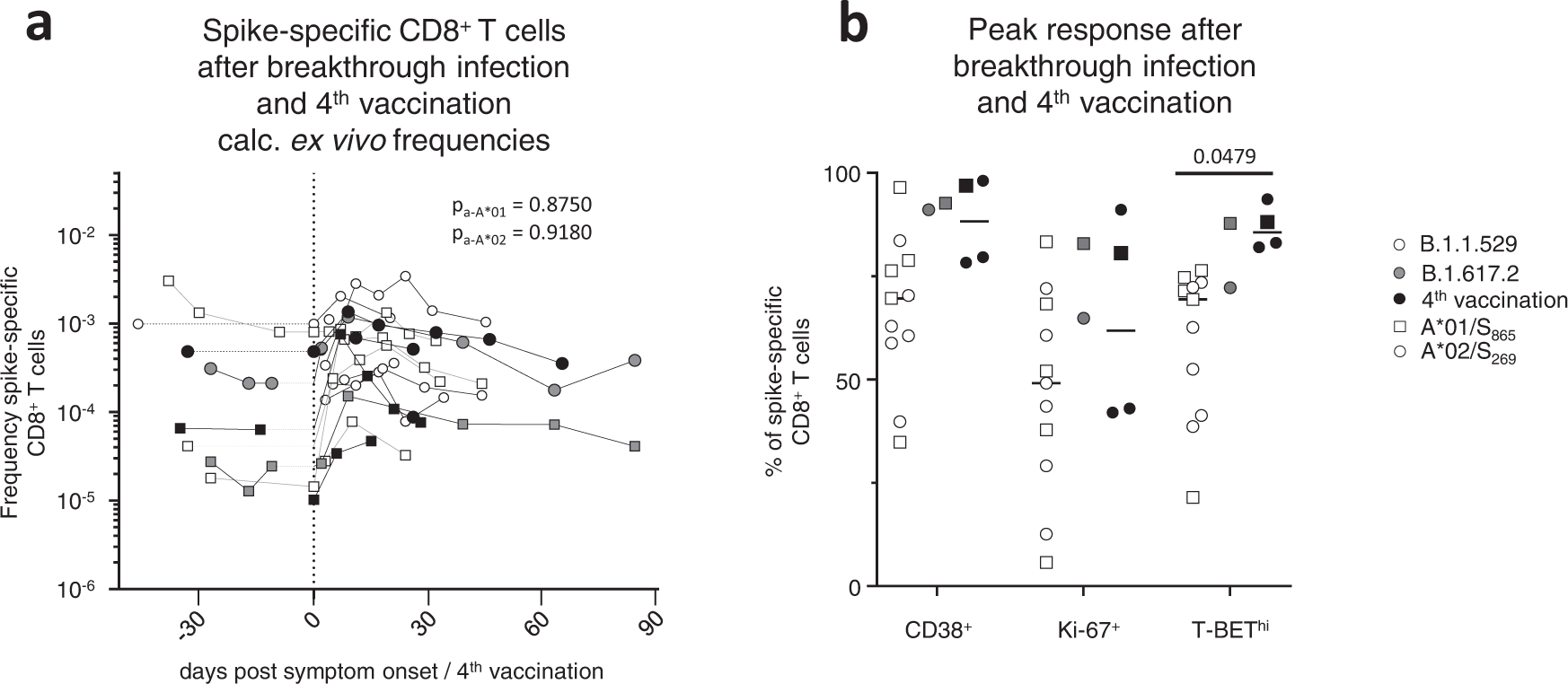 Fig. 5: CD8+ T effector cell response after breakthrough infection and the 4th vaccine dose.
