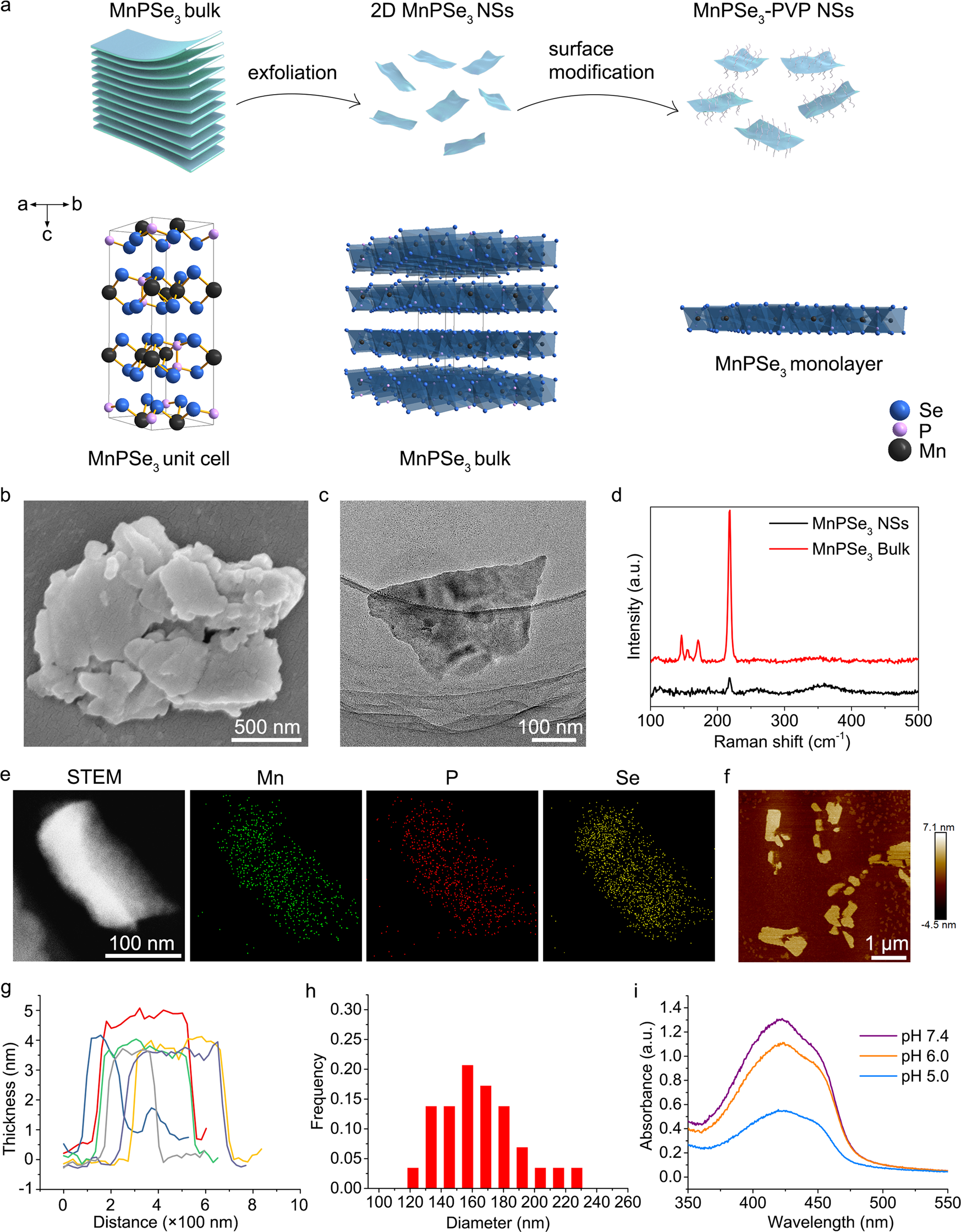 Fig. 2: MPS preparation and characterization.