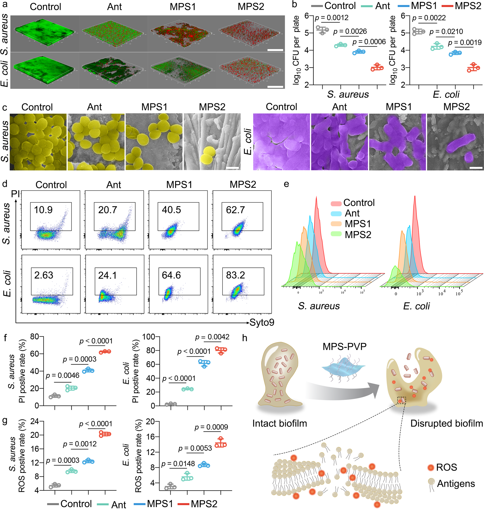 Fig. 3: MPS-PVP leverages biofilm as an endogenous antigen deposit.