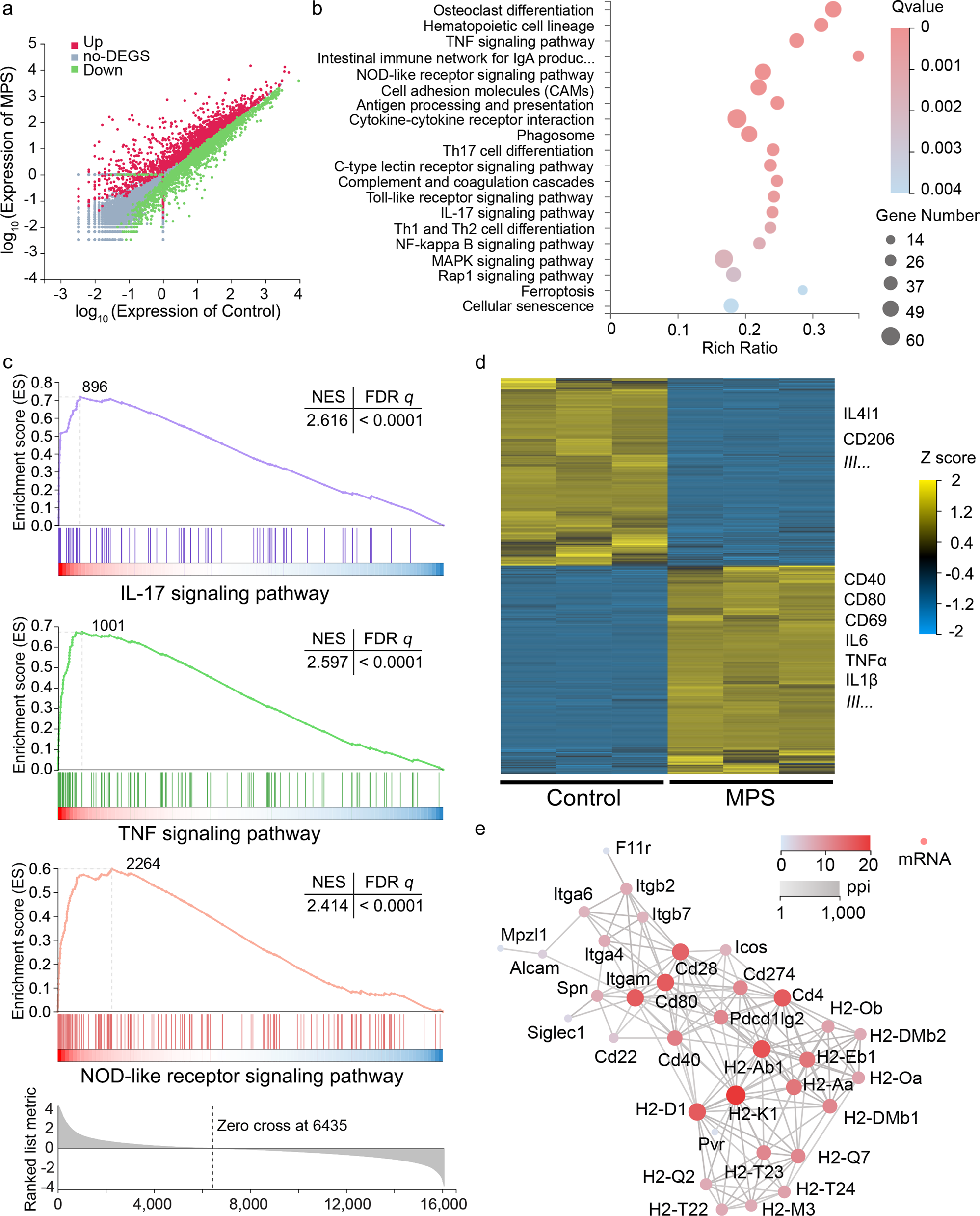 Fig. 4: MPS-PVP activates co-stimulatory pathways in RAW264.7 macrophages.