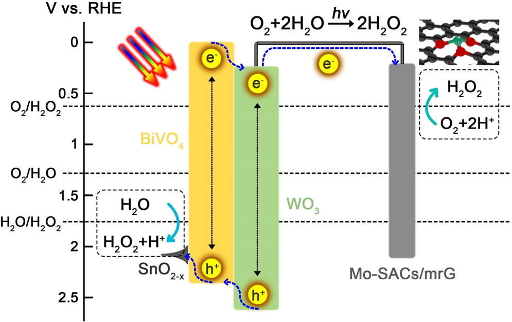 Fig. 2: Energy-level diagram of the photoanode and cathode: type 2 heterostructures formed between BiVO4/WO3.