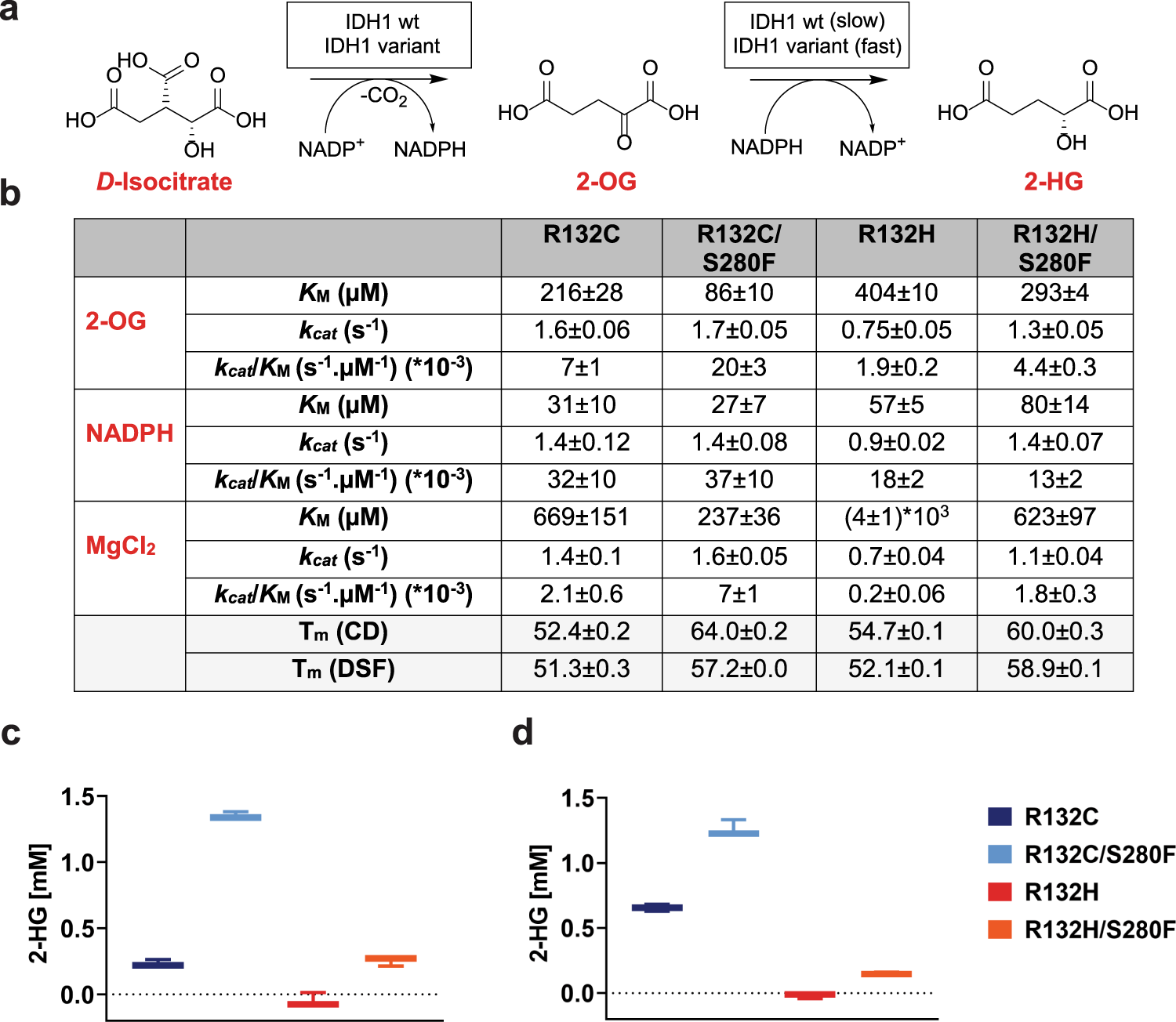 Resistance to the isocitrate dehydrogenase 1 mutant inhibitor ivosidenib can  be overcome by alternative dimer-interface binding inhibitors | Nature  Communications