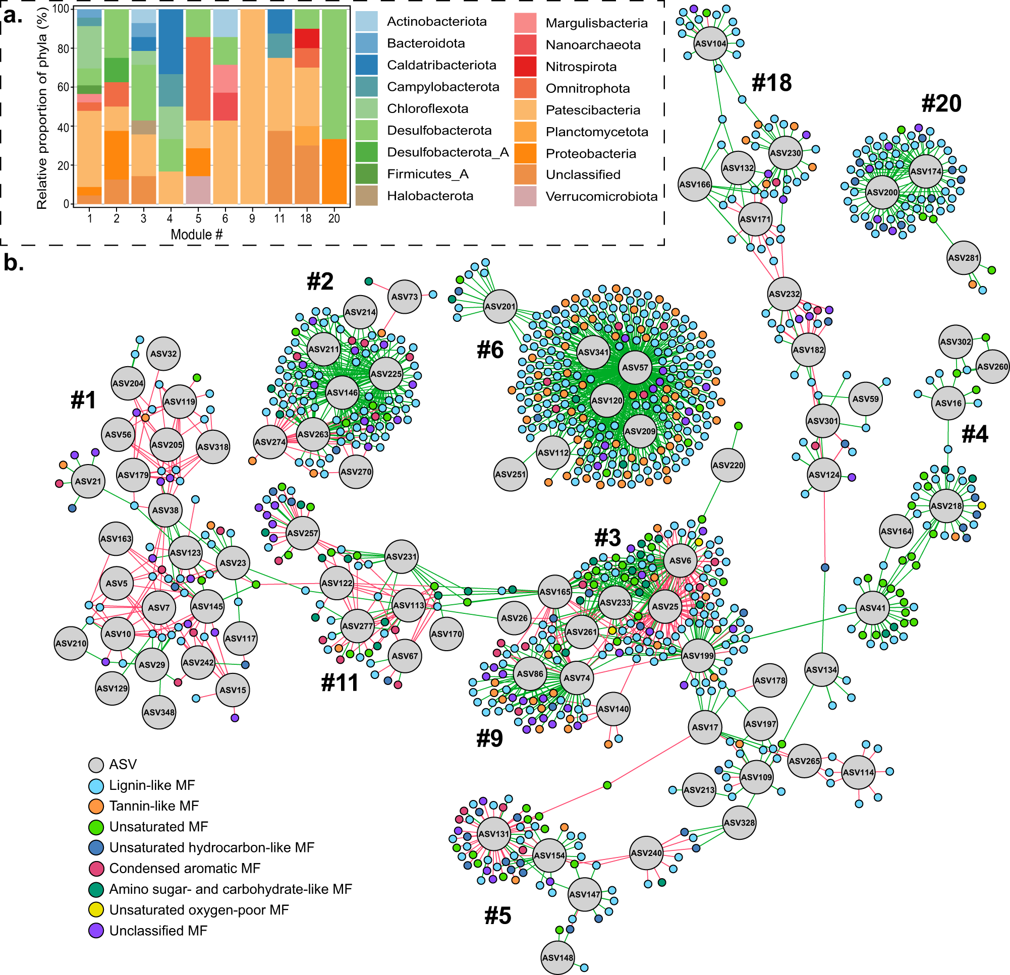 Fig. 7: Network showing the links between MFs and microbial ASVs.