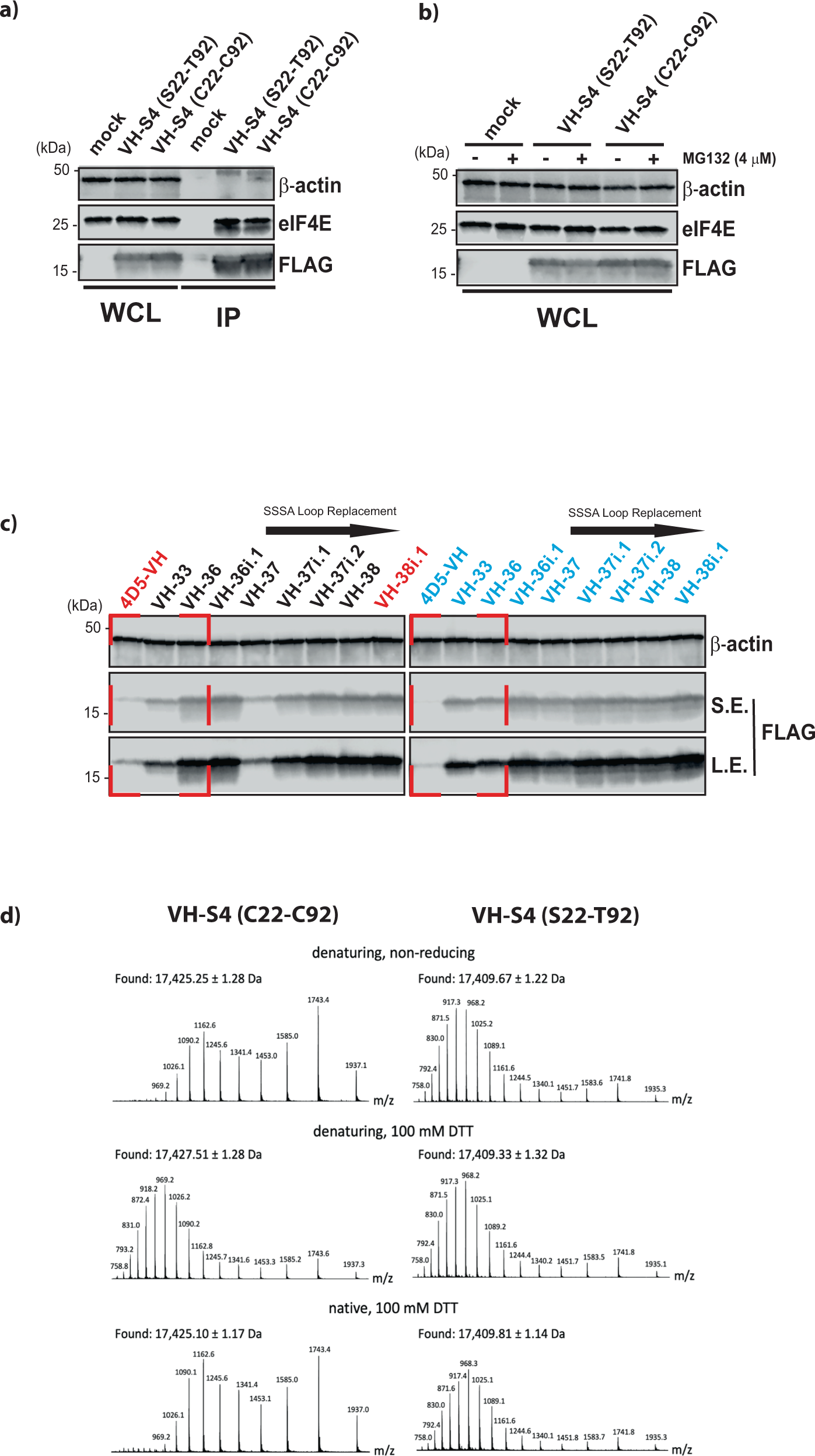 Fig. 7: Intra-domain disulfide bond is not detrimental functionally to the evolved VH-S4 domain and is retained in a reducing environment.