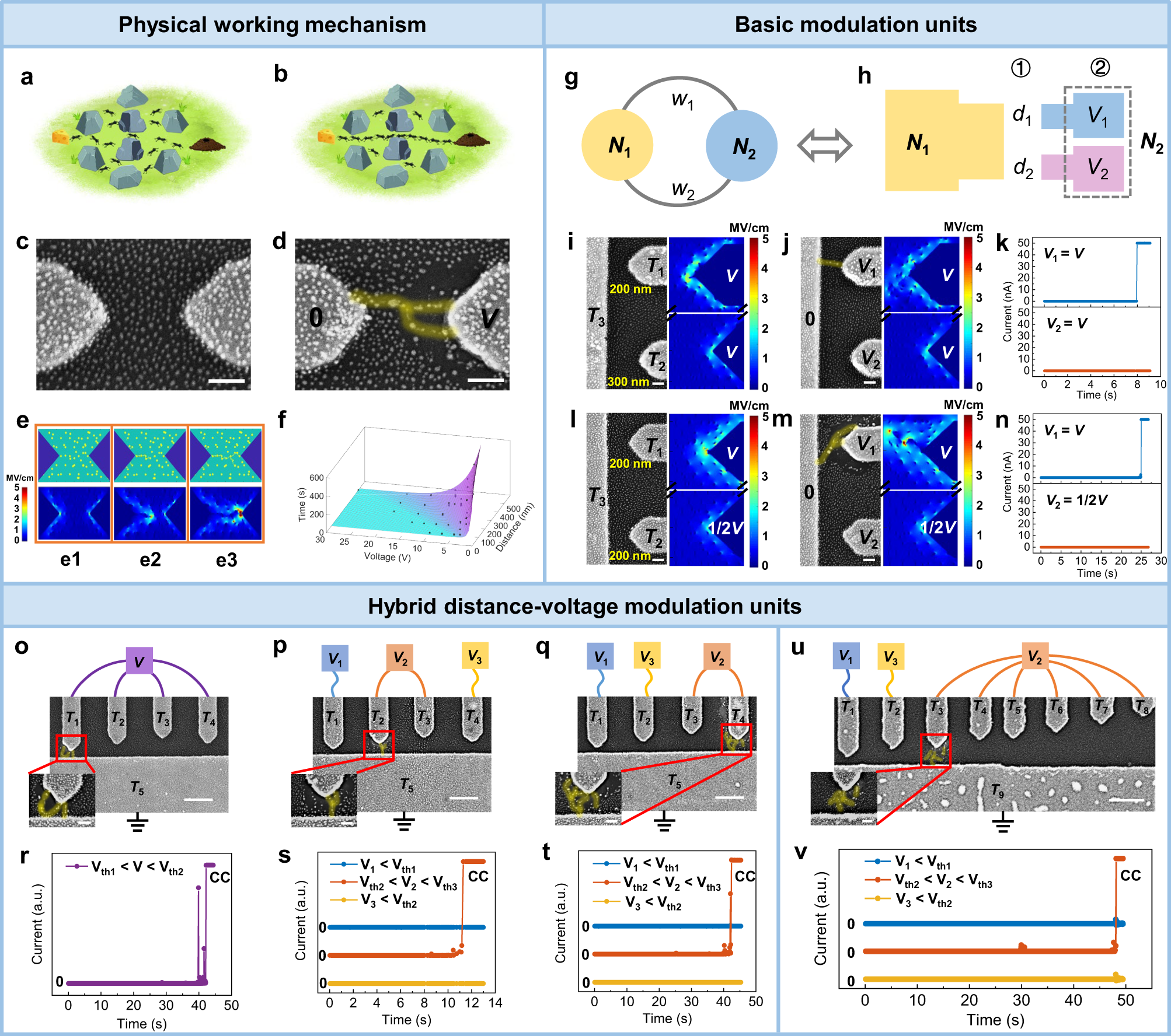 A distributed nanocluster based multi-agent evolutionary network | Nature  Communications