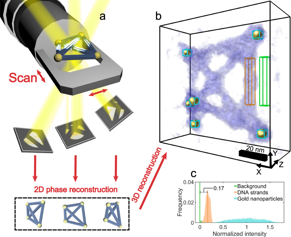 Fig. 1: Schematic experimental setup and reconstruction of electron ptychographic tomography.