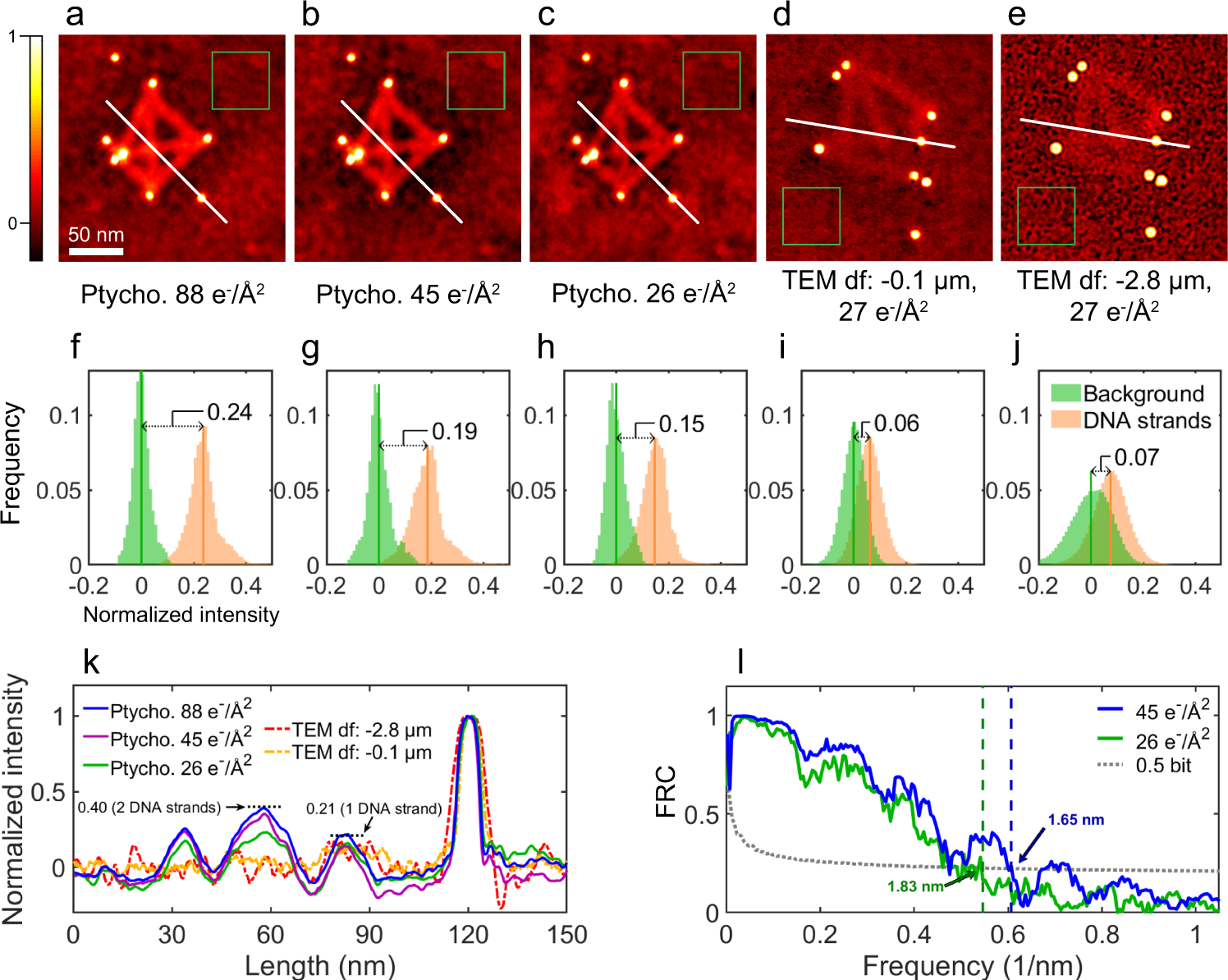 Fig. 3: 2D ptychographic phases and defocused TEM images.