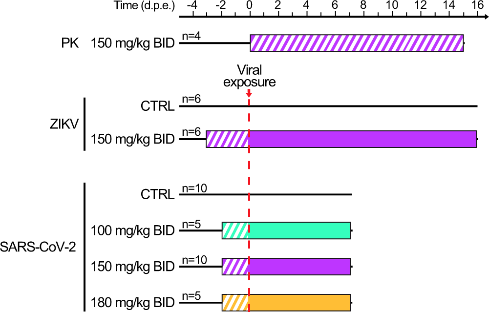 Antiviral efficacy of favipiravir against Zika and SARS-CoV-2 viruses in  non-human primates | Nature Communications