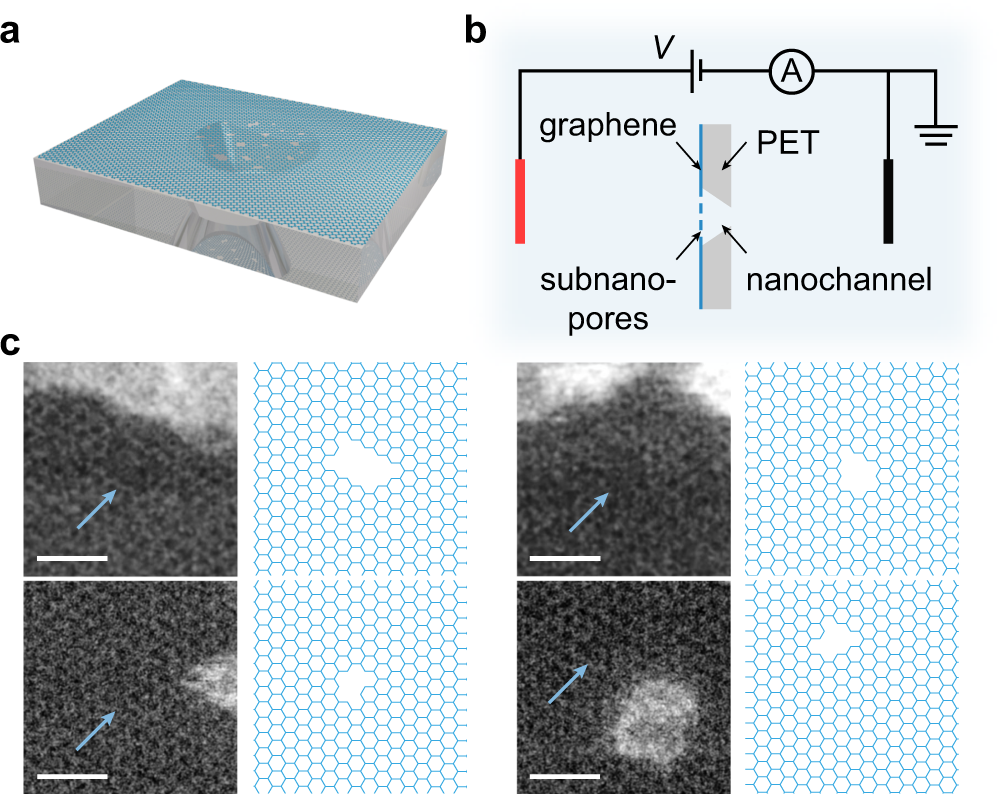 long studie moe Multifunctional graphene heterogeneous nanochannel with voltage-tunable ion selectivity | Nature Communications long studie moe Multifunctional graphene heterogeneous nanochannel with voltage-tunable ion selectivity | Nature Communications