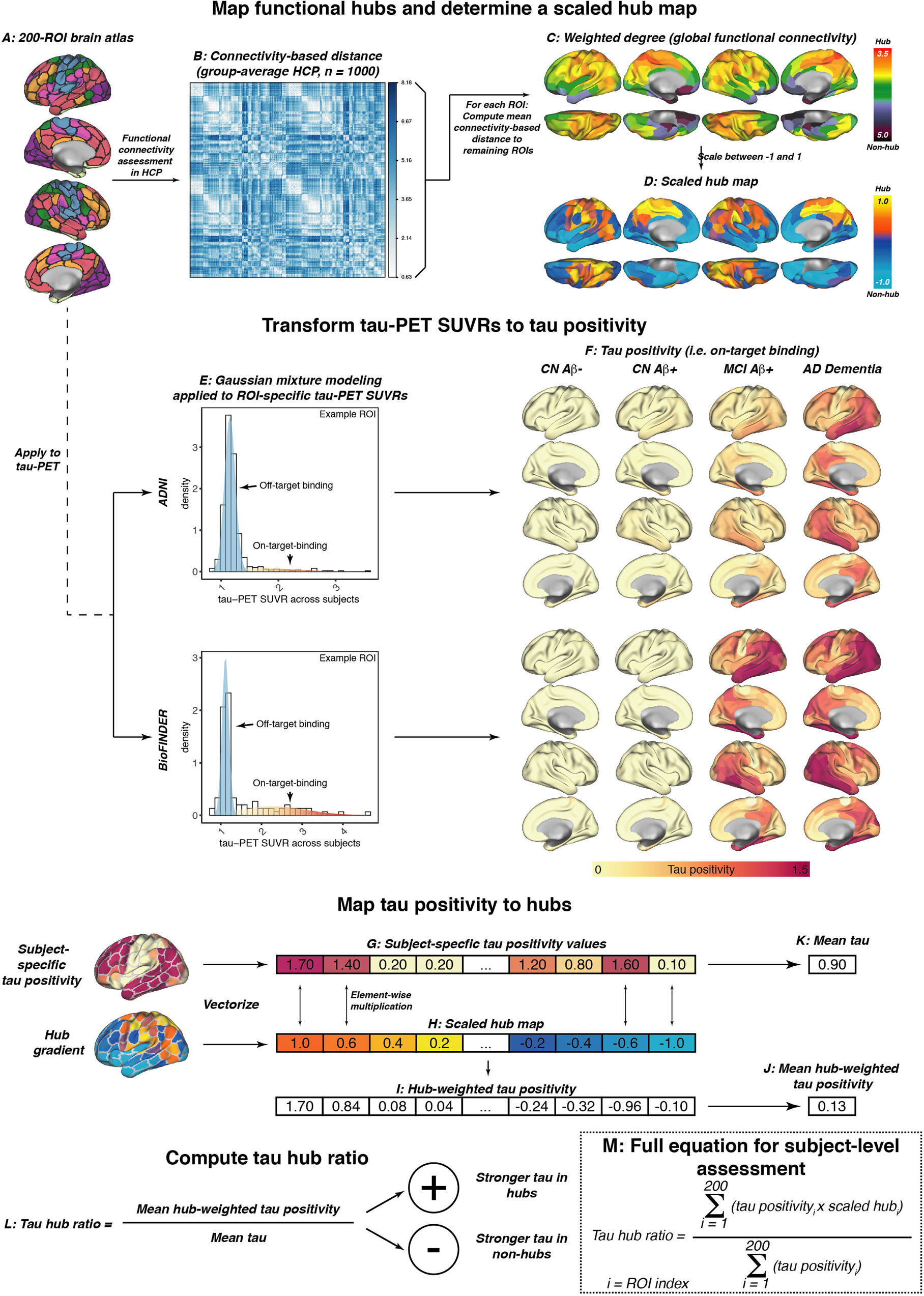Fig. 1: fMRI and tau-PET processing.