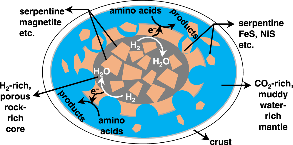 Geoelectrochemistry-driven alteration of amino acids to derivative organics  in carbonaceous chondrite parent bodies | Nature Communications