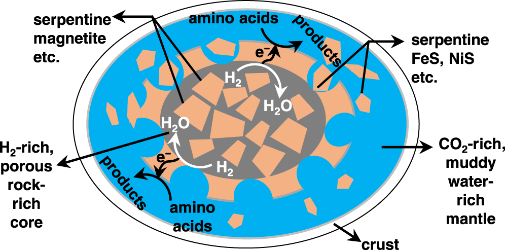 Rapid Redox Cycling of Fe(II)/Fe(III) in Microdroplets during Iron–Citric  Acid Photochemistry