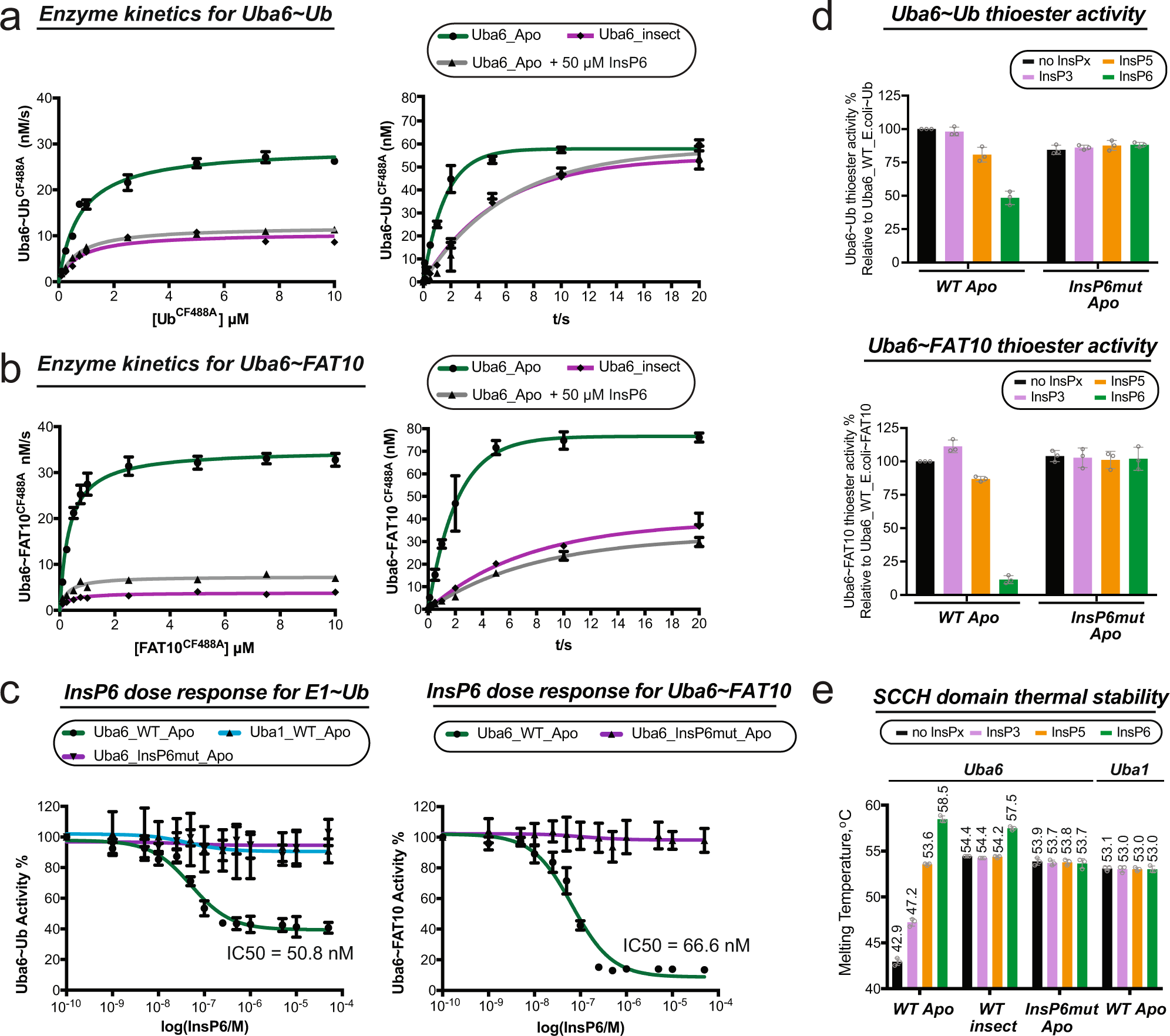 Fig. 4: InsP6 inhibits Uba6 E1~Ubl thioester formation activity and it enhances its stability.