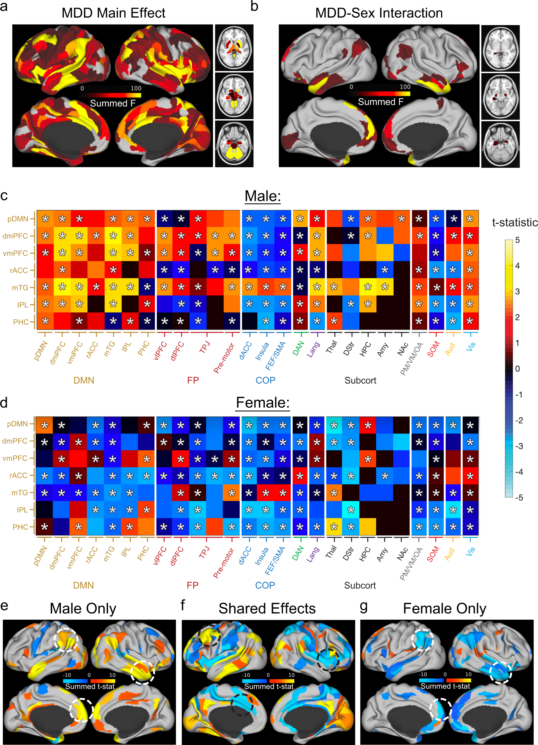 Regional gene expression signatures are associated with sex-specific functional connectivity changes in depression Nature Communications