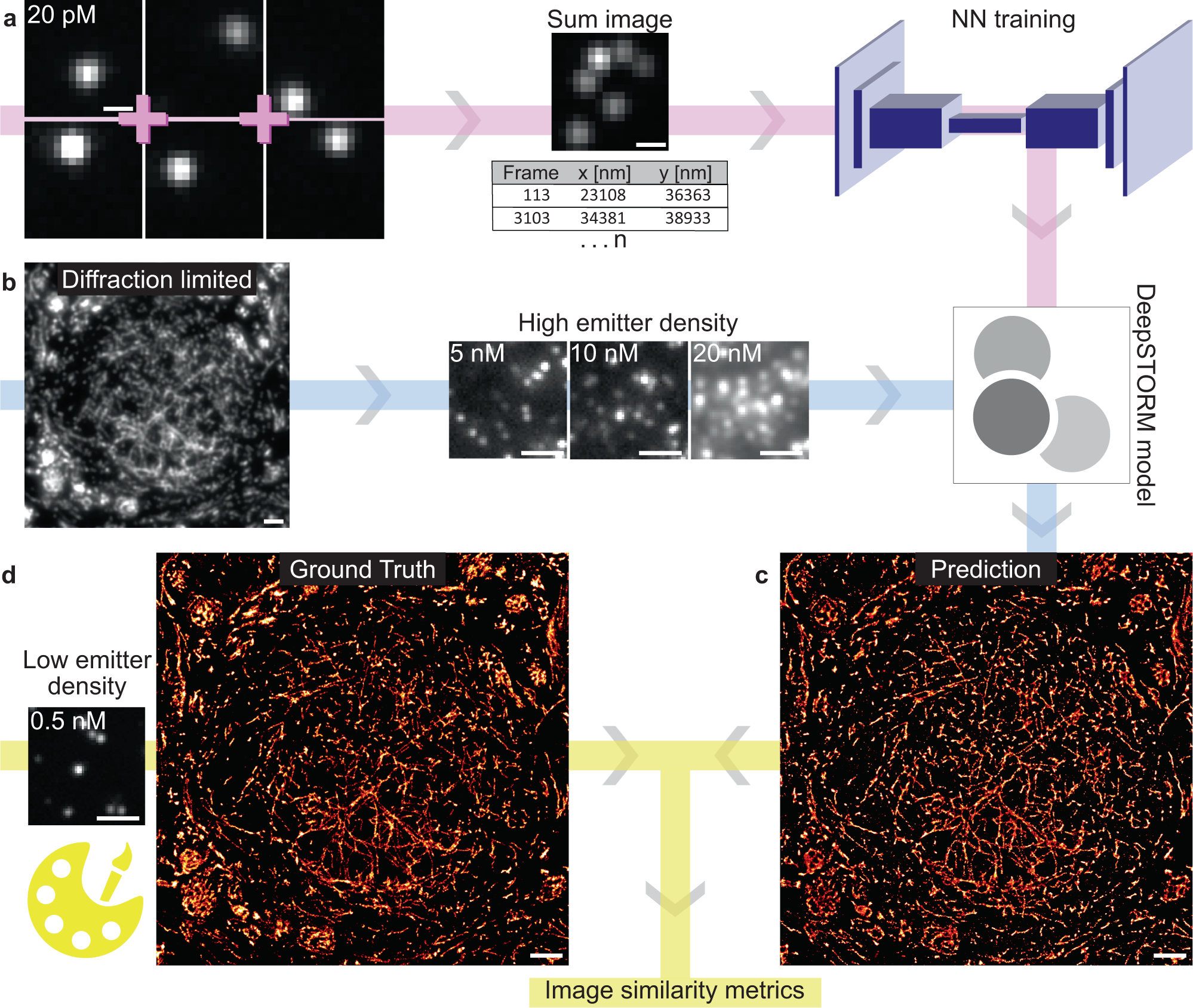 Scientists discover unique imaging technique to view synapse proteins