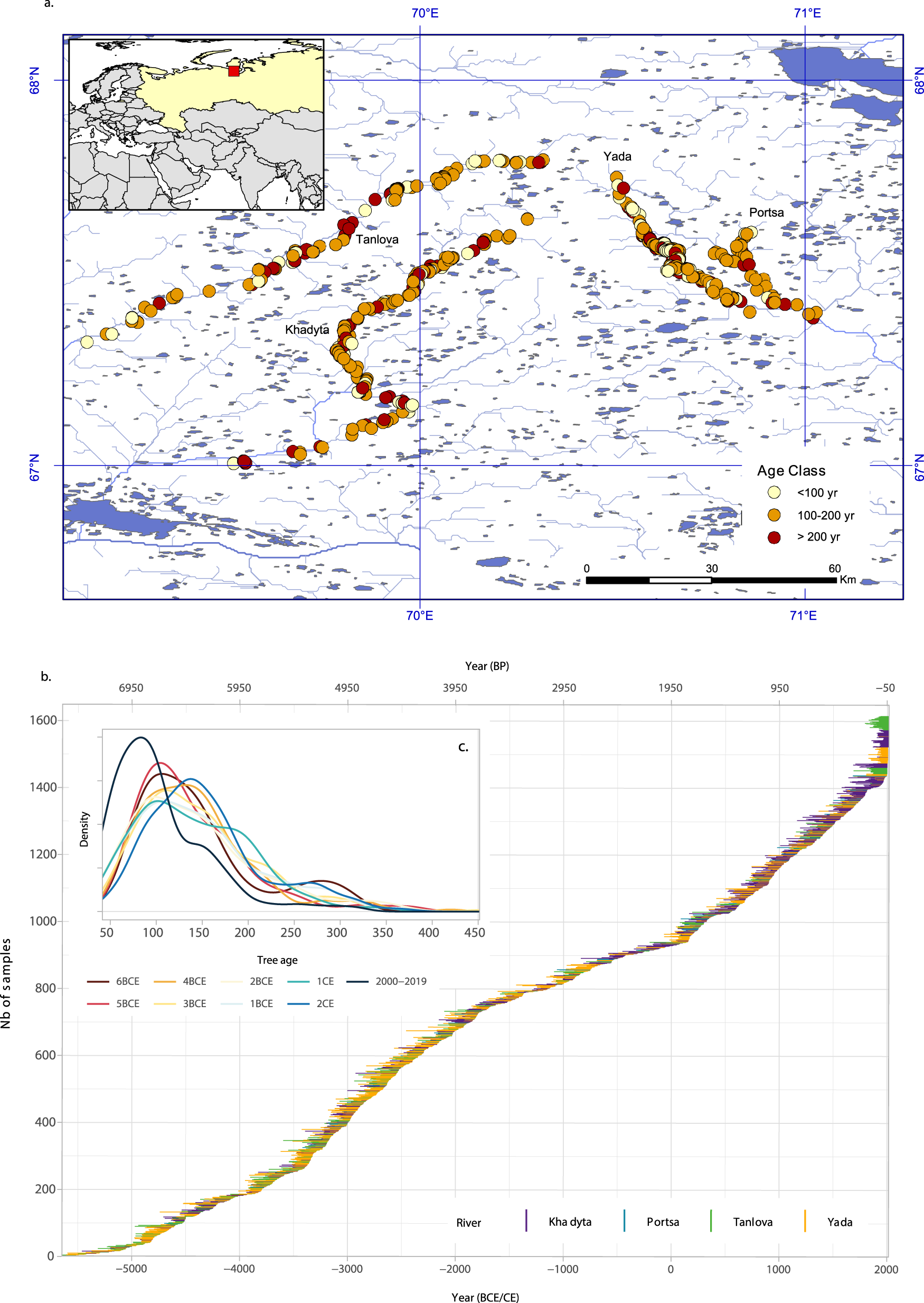 Fig. 2: Sampling locations and temporal coverage of the Yamal7k tree-ring chronology.