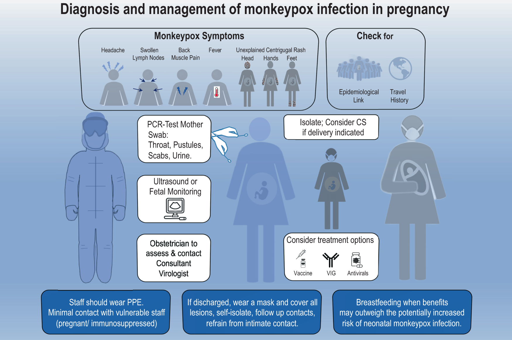 Monkey shortage imperils early-stage drug development timelines