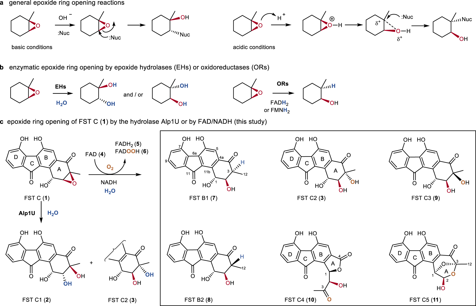 Metal-free ring expansion of indoles with nitroalkenes: a simple, modular  approach to 3-substituted 2-quinolones - RSC Advances (RSC Publishing)  DOI:10.1039/C4RA14406F