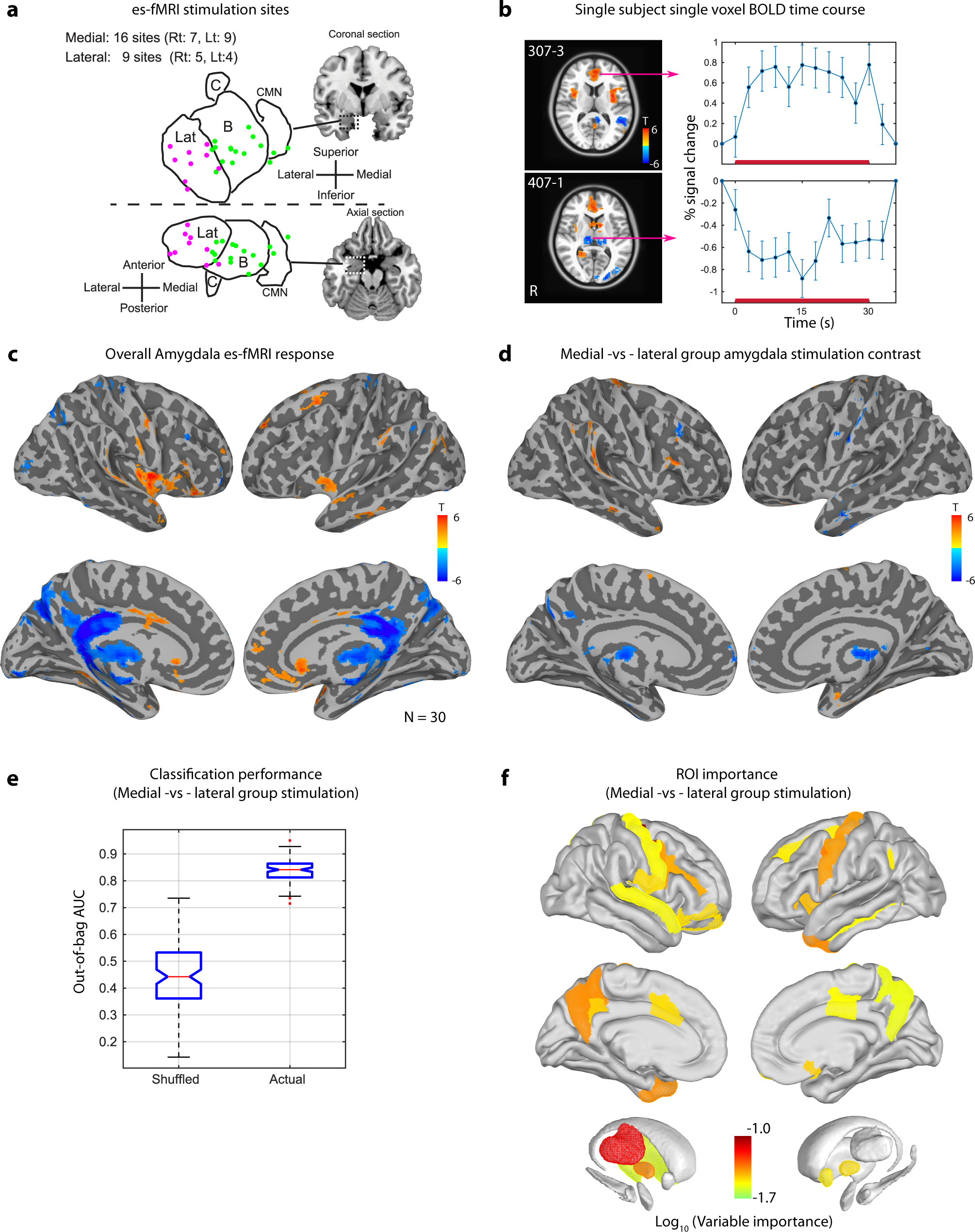 Fig. 3: Amygdala stimulation es-fMRI responses.