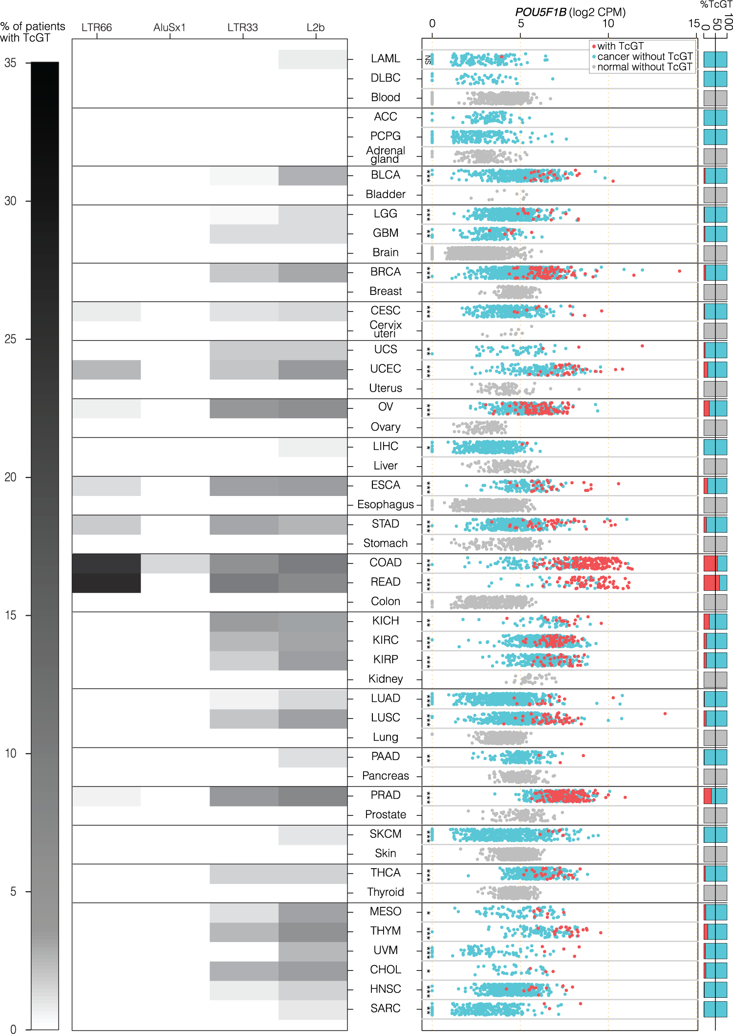 Fig. 6: POU5F1B-encoding TcGTs are detected in several other cancers.