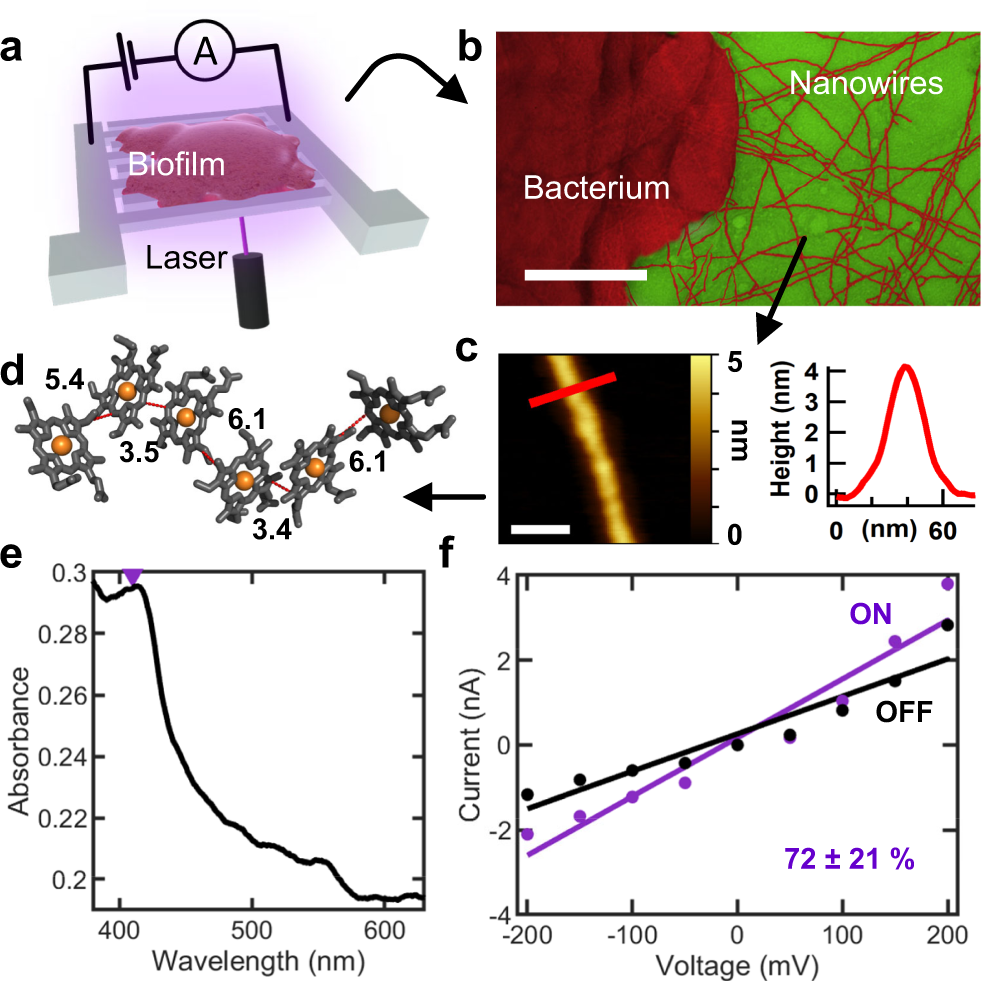 Full article: Molecular dynamics simulation of laser-induced  interconnections of silver nanowires