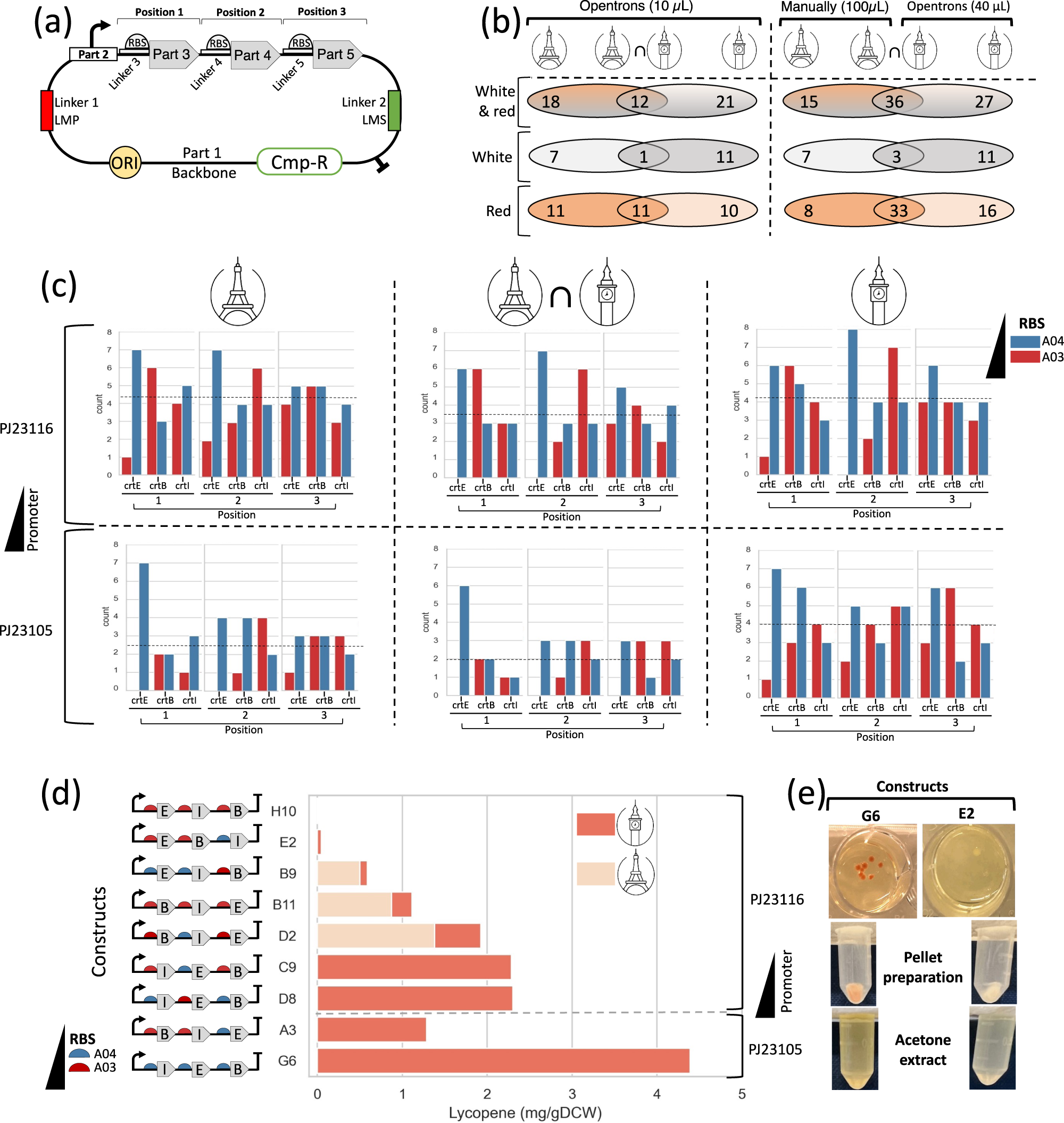 The automated Galaxy-SynBioCAD pipeline for synthetic biology design and  engineering | Nature Communications