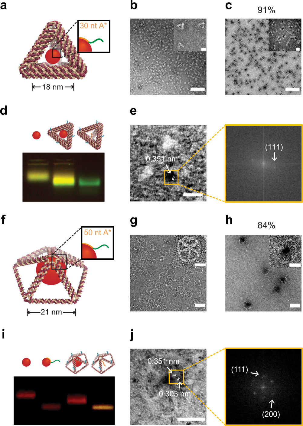 Fig. 4: Valence-geocoded QD using tetrahedron (Tet)-QD600 and pentagonal pyramid (Pep)-QD660 assemblies.