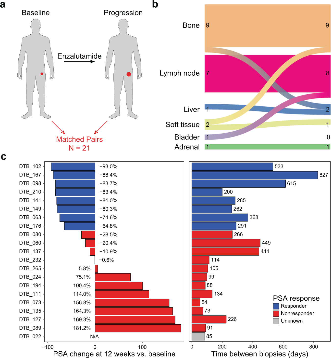 Fig. 1: Study biopsy and clinical information.