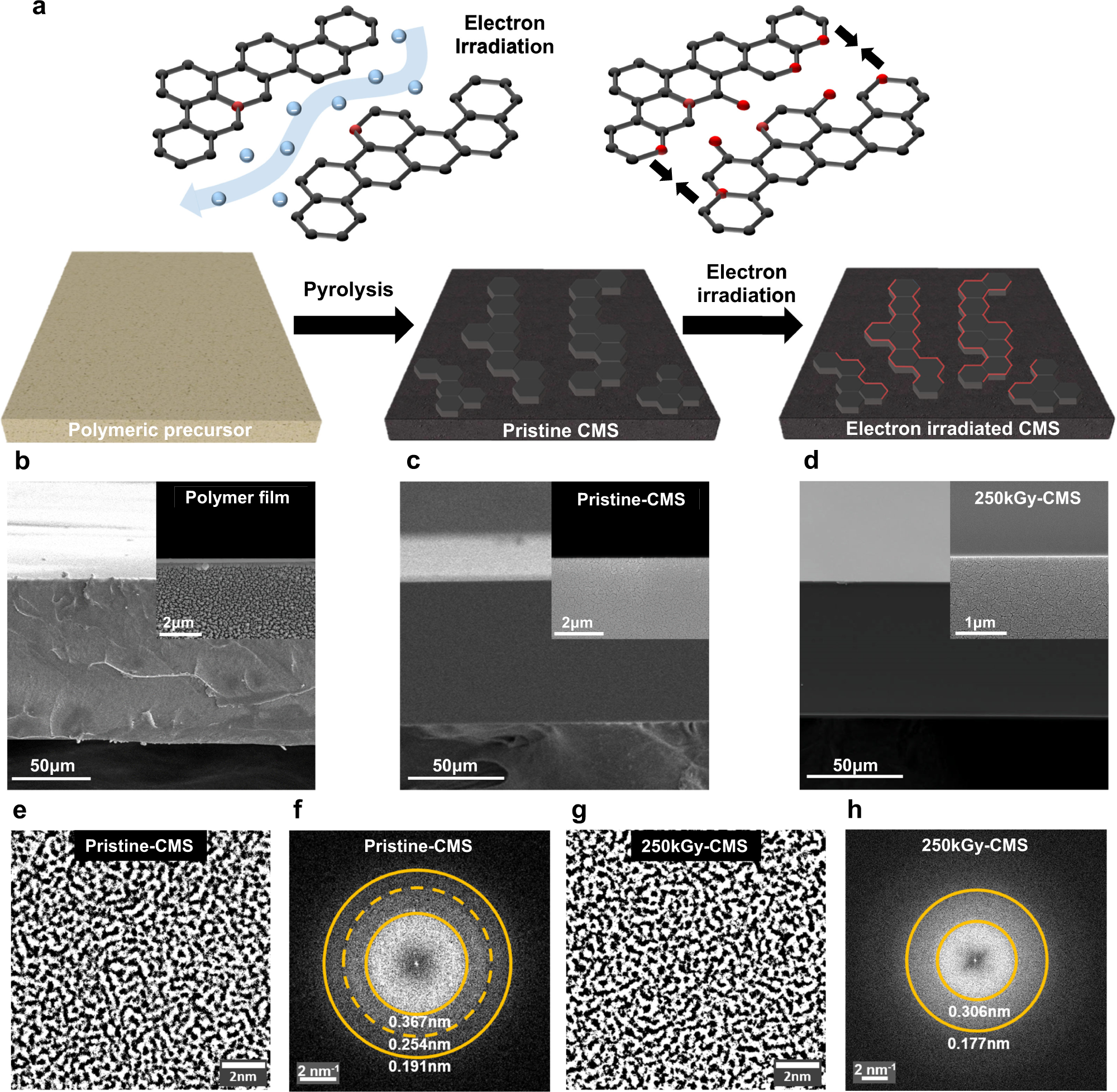 Understanding CO2/CH4 Separation in Pristine and Defective 2D MOF