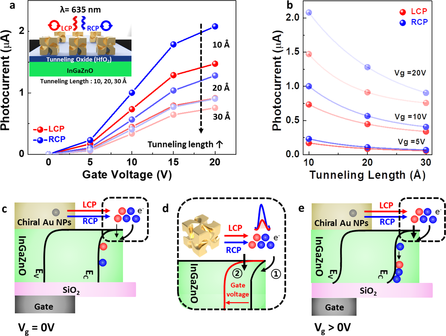 Fig. 5: Photocurrent of the CPL-detecting transistor with a tunneling oxide, and suggested hot electron transport mechanism depending on the gate voltage.