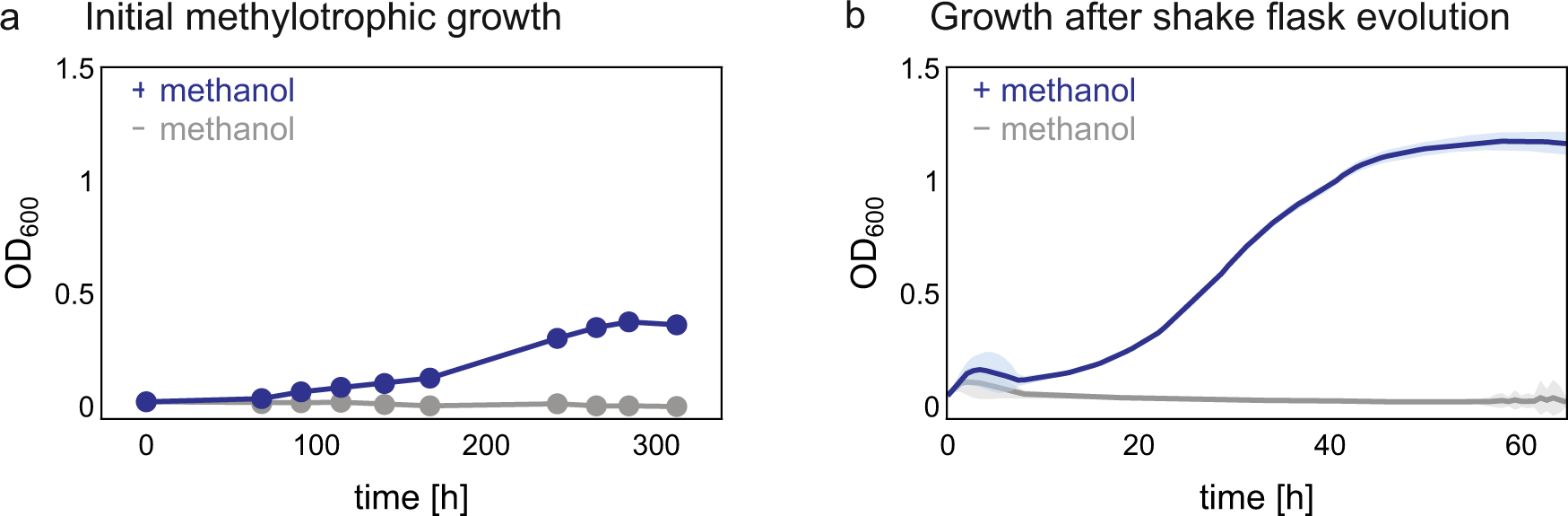 Fig. 3: Growth on methanol in the absence of pyruvate of the evolved E. coli.