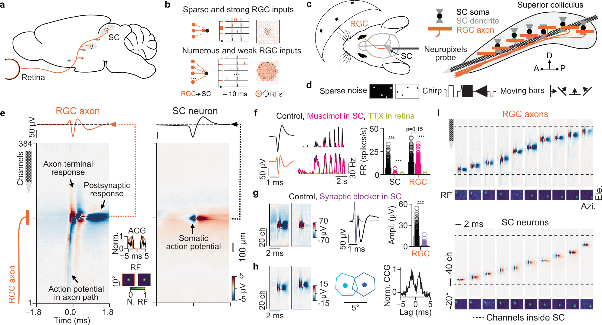 High-density electrode recordings reveal strong and specific connections  between retinal ganglion cells and midbrain neurons | Nature Communications