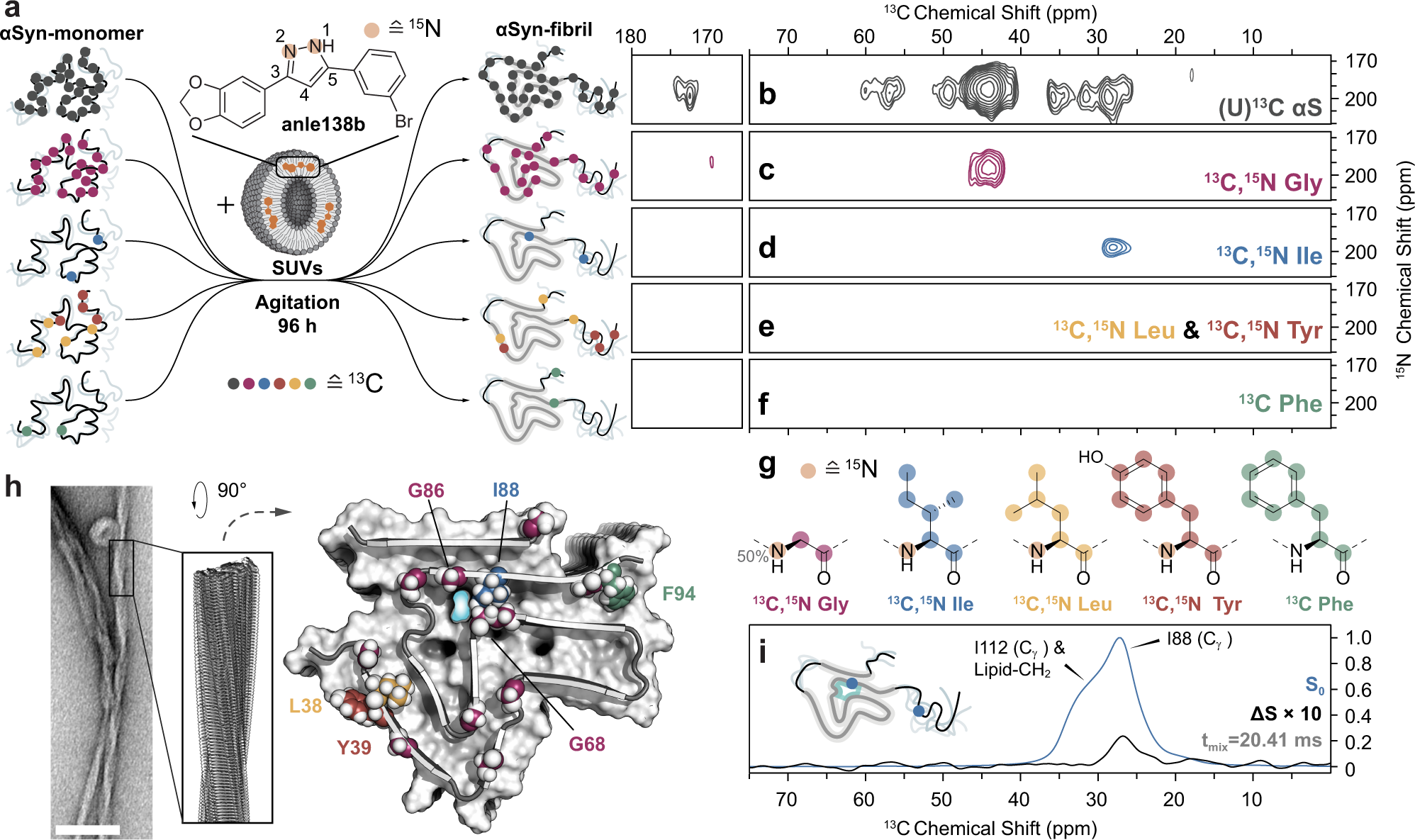 The Clinical Drug Candidate Anle138b Binds In A Cavity Of Lipidic A Synuclein Fibrils Nature Communications The Clinical Drug Candidate Anle138b Binds In A Cavity Of Lipidic A Synuclein Fibrils Nature Communications