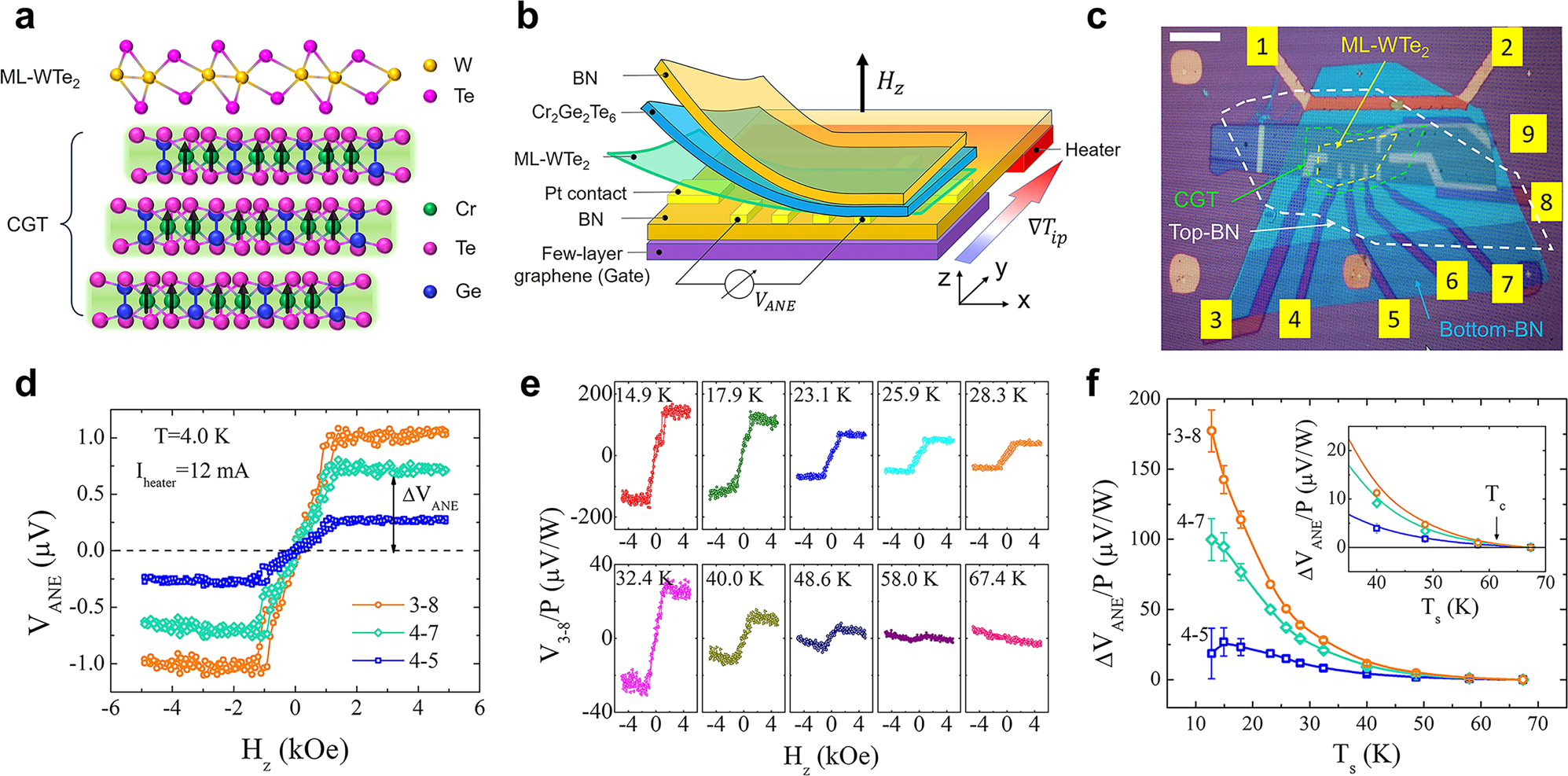 Proximity-magnetized quantum spin Hall insulator: monolayer 1 T'  WTe2/Cr2Ge2Te6 | Nature Communications