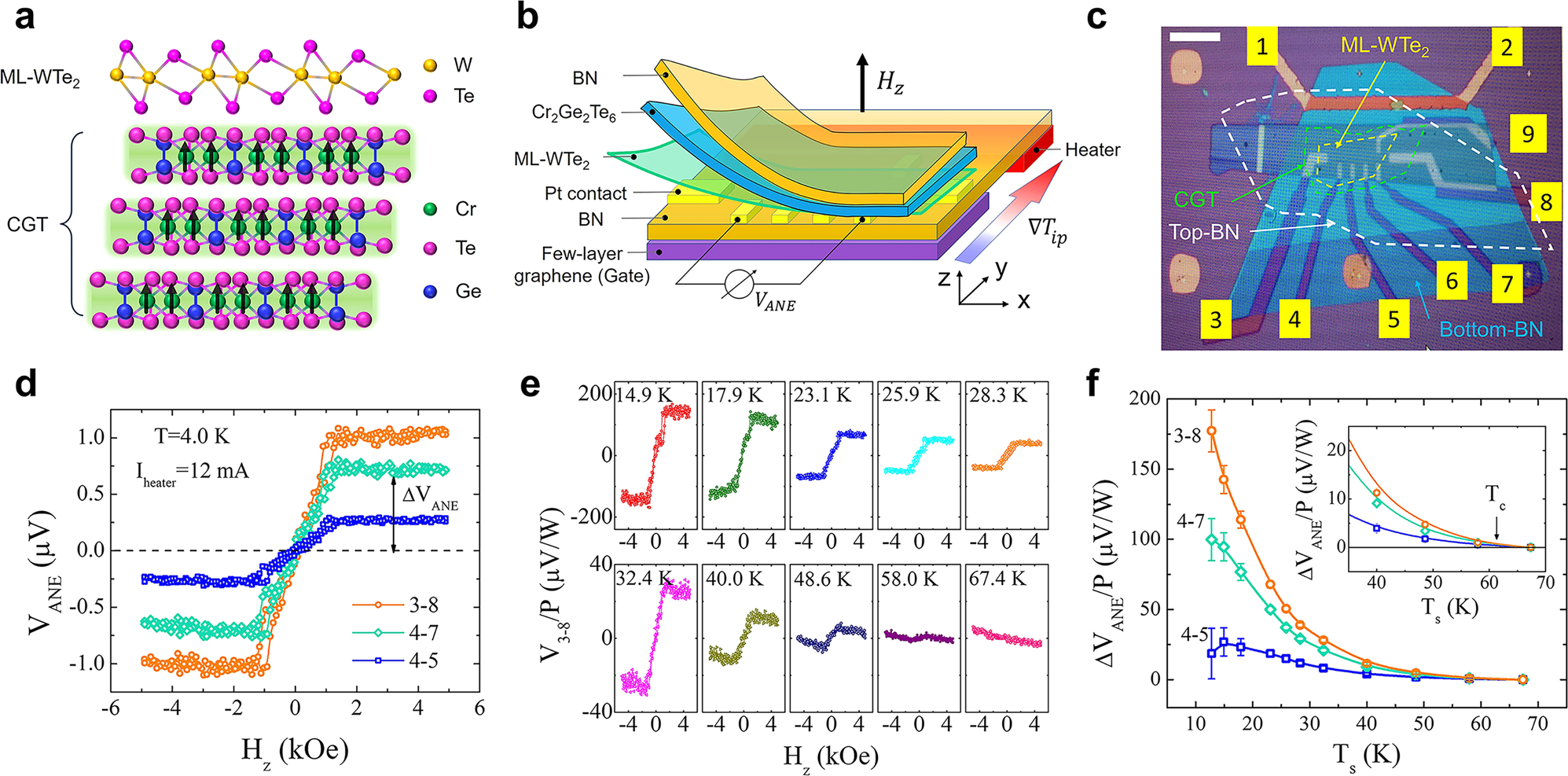 Proximity Magnetized Quantum Spin Hall Insulator Monolayer 1 T Wte2 Cr2ge2te6 Nature Communications
