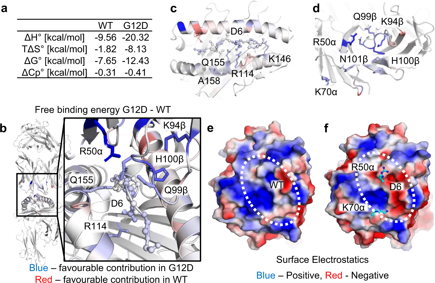 Fig. 3: Difference in binding energy is primarily driven by changes in electrostatic potential in pHLA mediated by the D6 mutation.