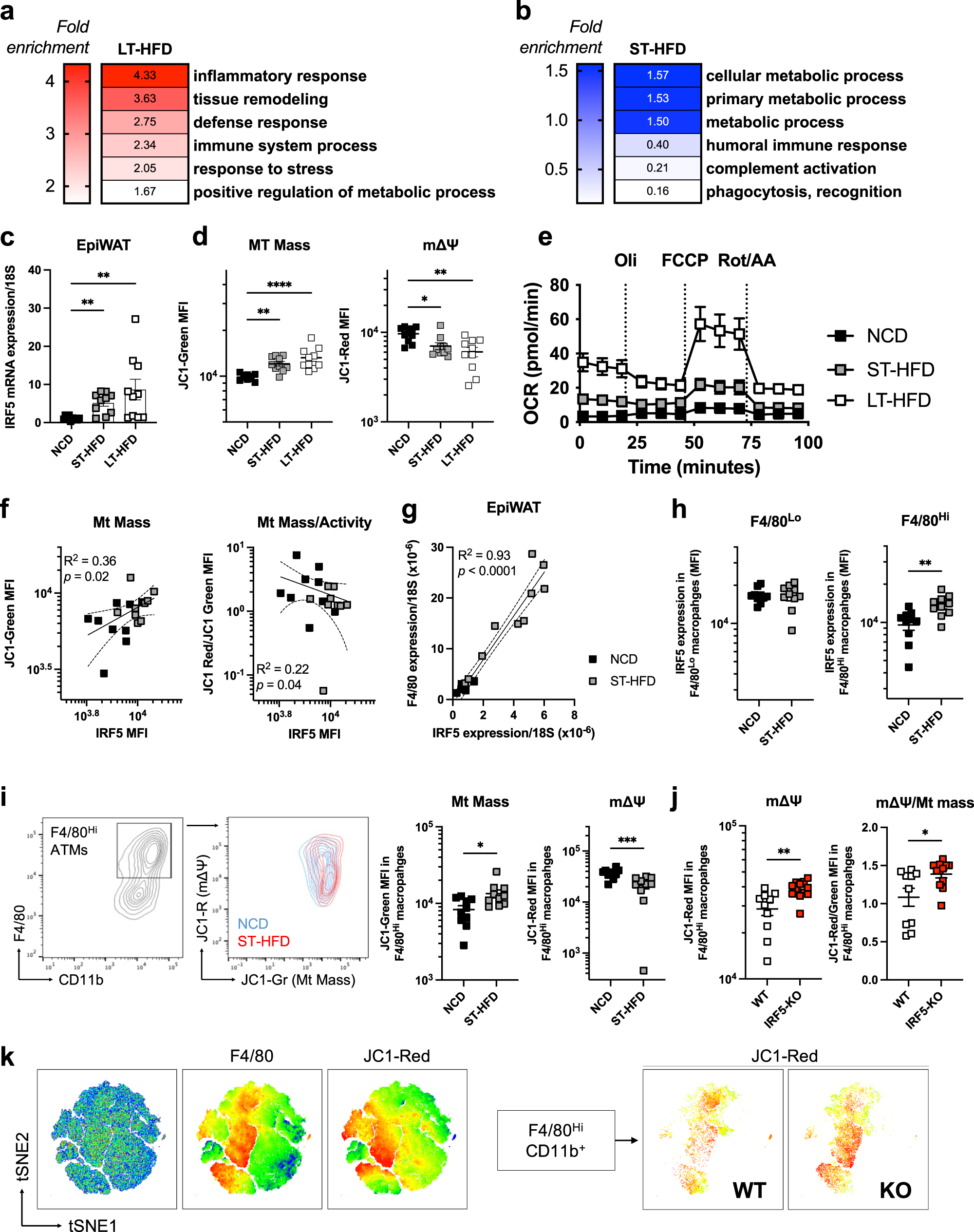 Early macrophage response to obesity encompasses Interferon Regulatory  Factor 5 regulated mitochondrial architecture remodelling | Nature  Communications