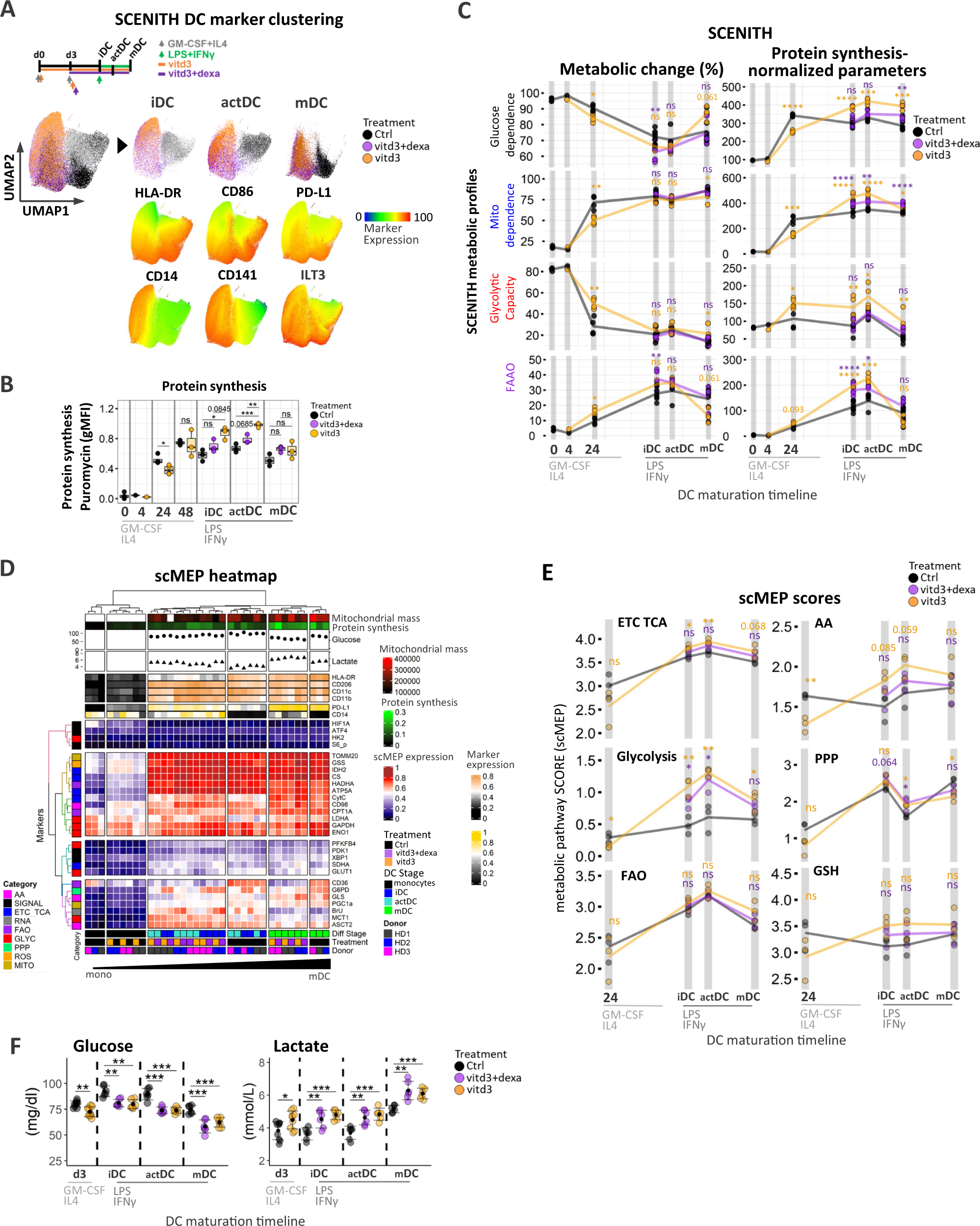 Fig. 4: Vitd3 and dexamethasone alters metabolic and signaling networks in immune-suppressive phenotypes of tol-DC.