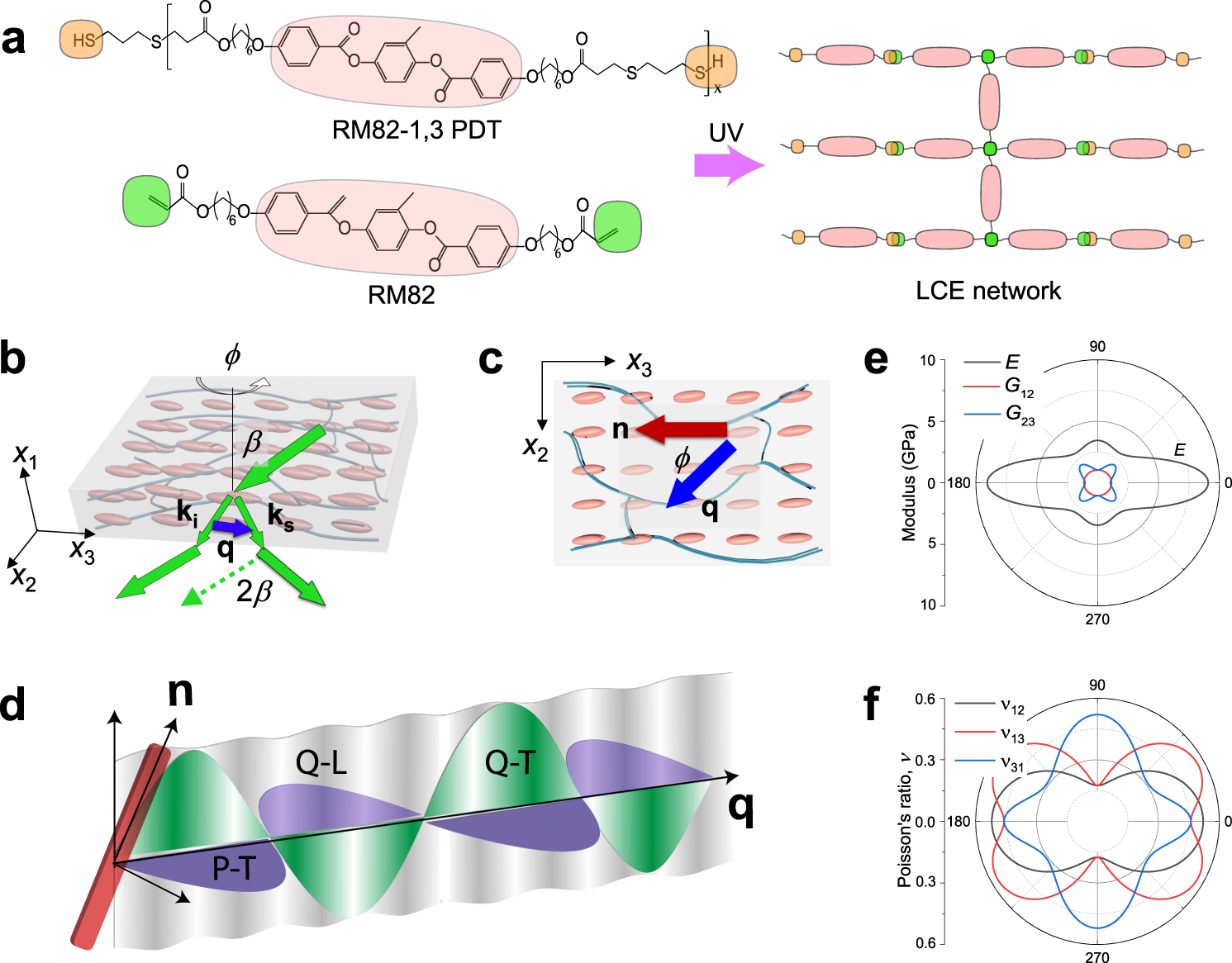 On the origin of elasticity and heat conduction anisotropy of liquid  crystal elastomers at gigahertz frequencies | Nature Communications