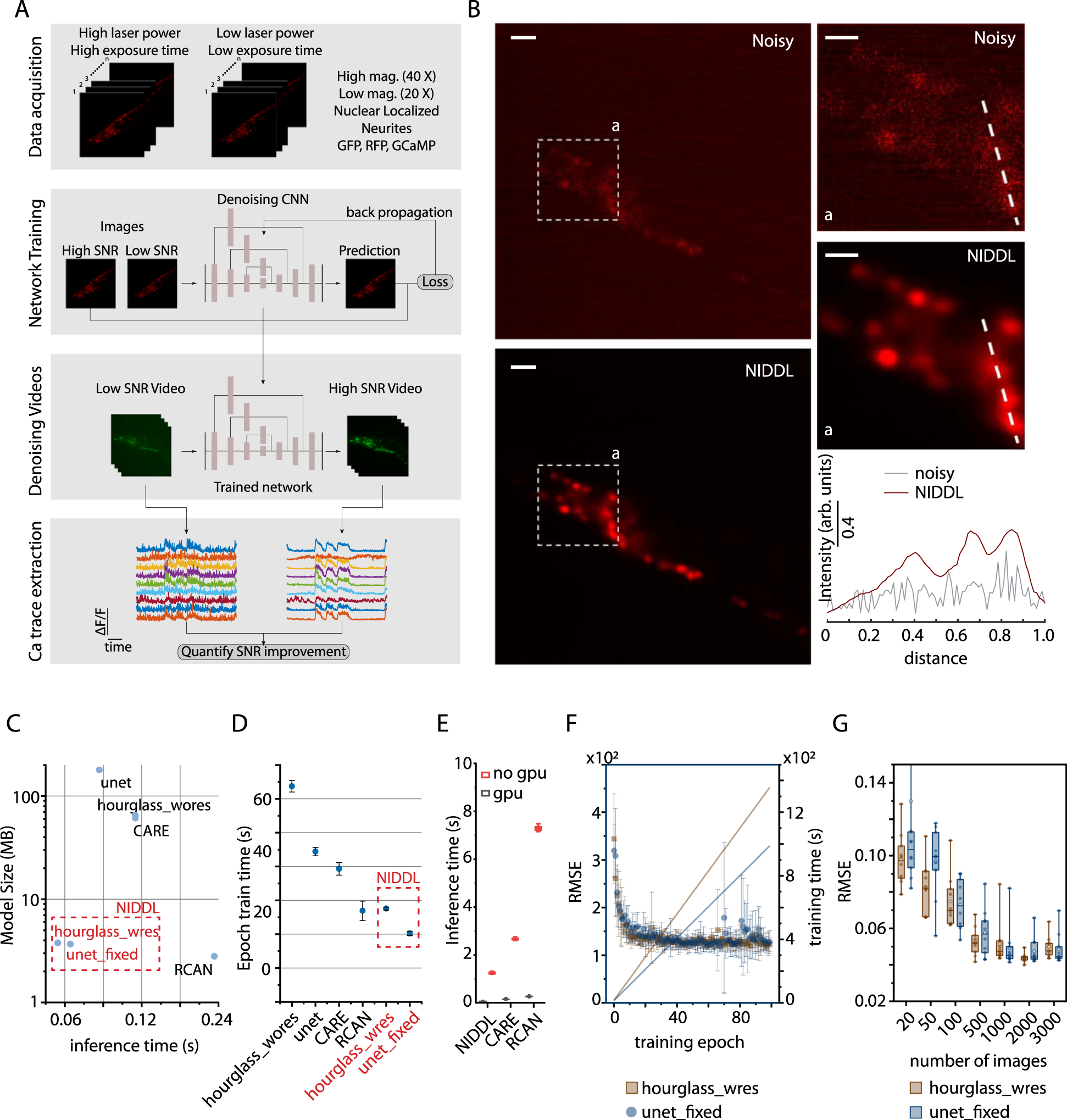 Fast Efficient And Accurate Neuro Imaging Denoising Via Supervised Deep Learning Nature Communications Fast Efficient And Accurate Neuro Imaging Denoising Via Supervised Deep Learning Nature Communications
