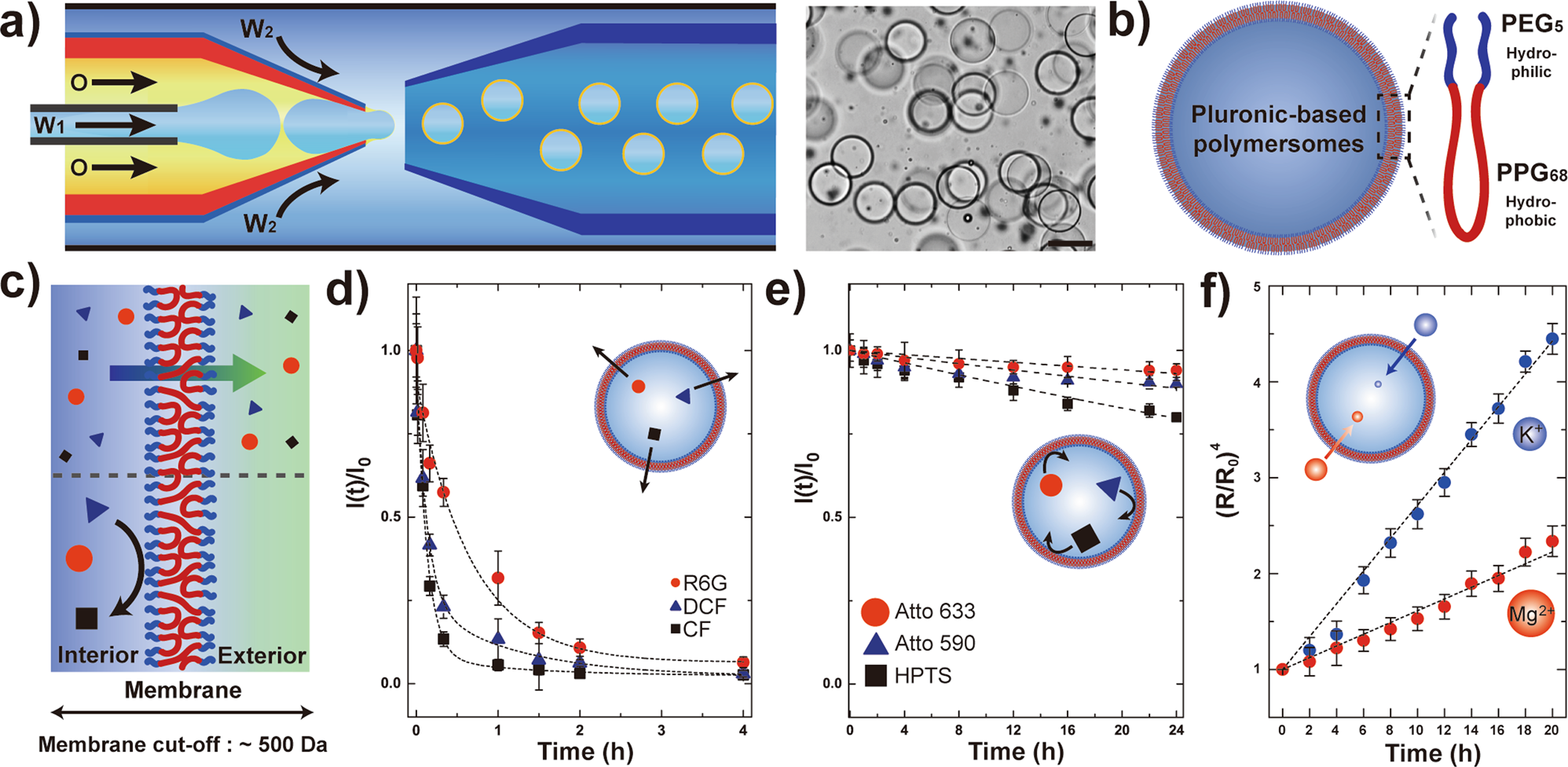 Spatiotemporal Control Of Signal Driven Enzymatic Reaction In Artificial Cell Like Polymersomes Nature Communications
