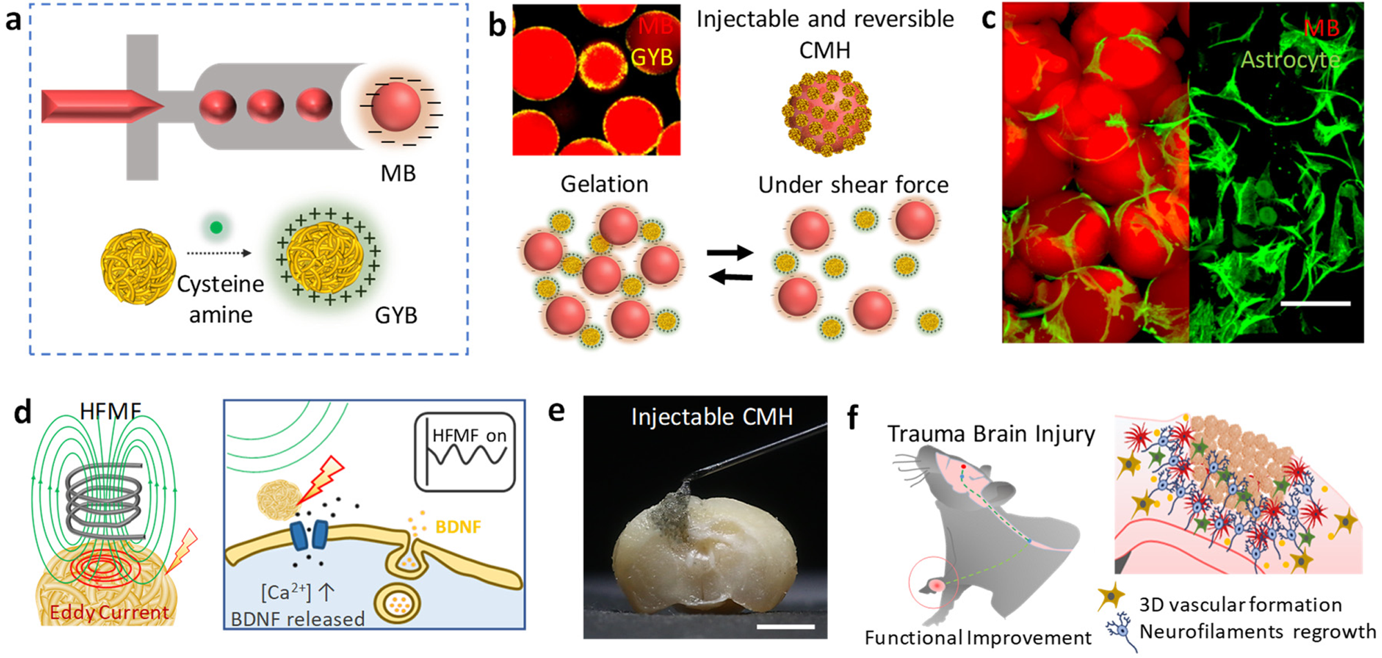 Minimizing thermal damage to vascular nerves while drilling of