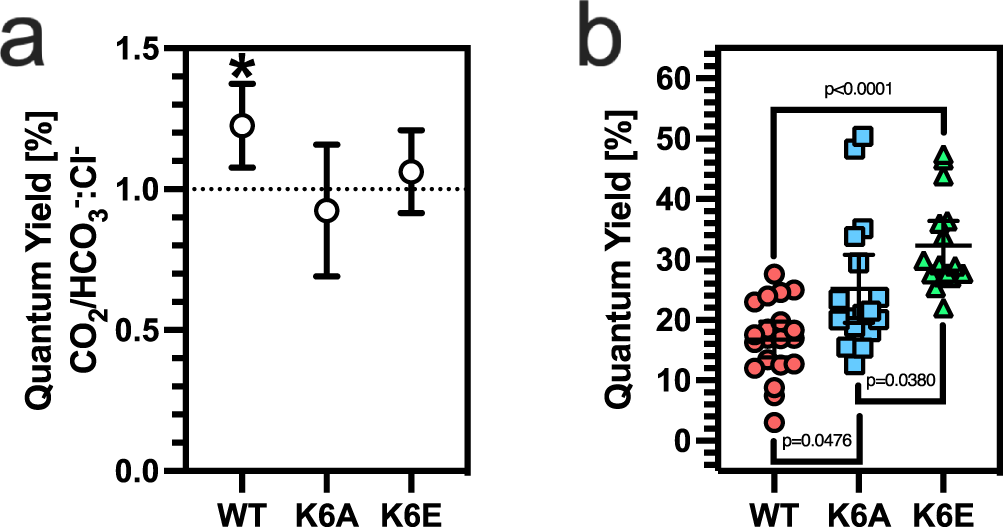 Fig. 2: CO2 enhances ApcABWT (αβ)3 QY in vitro.