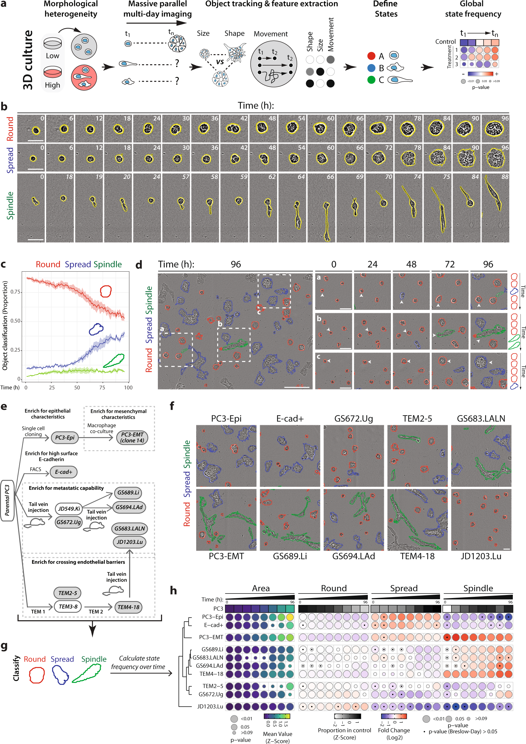 https://media.springernature.com/full/springer-static/image/art%3A10.1038%2Fs41467-022-32958-x/MediaObjects/41467_2022_32958_Fig1_HTML.png